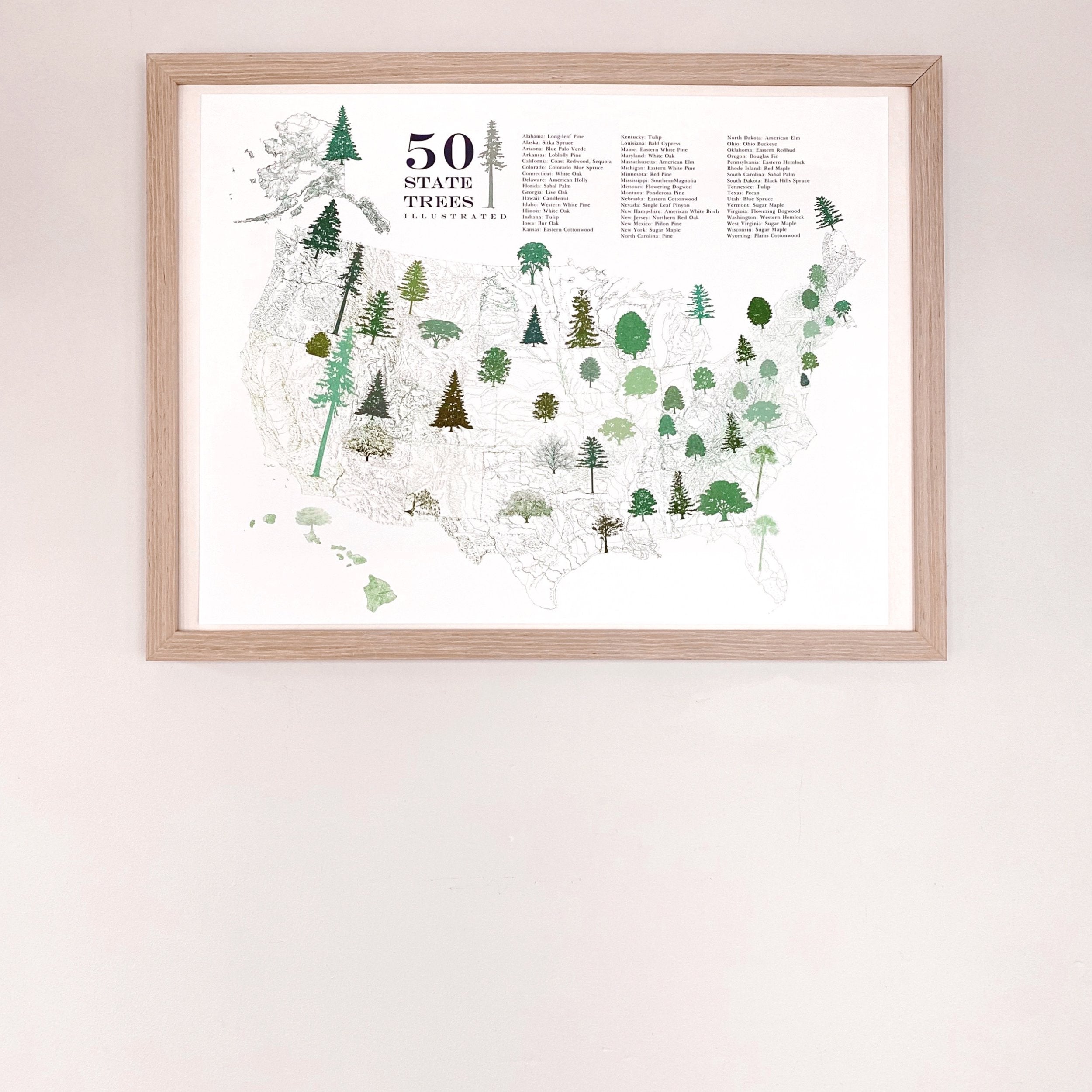 STATE TREEscape USA Map Drawing: PRINT (all 50 - with key)