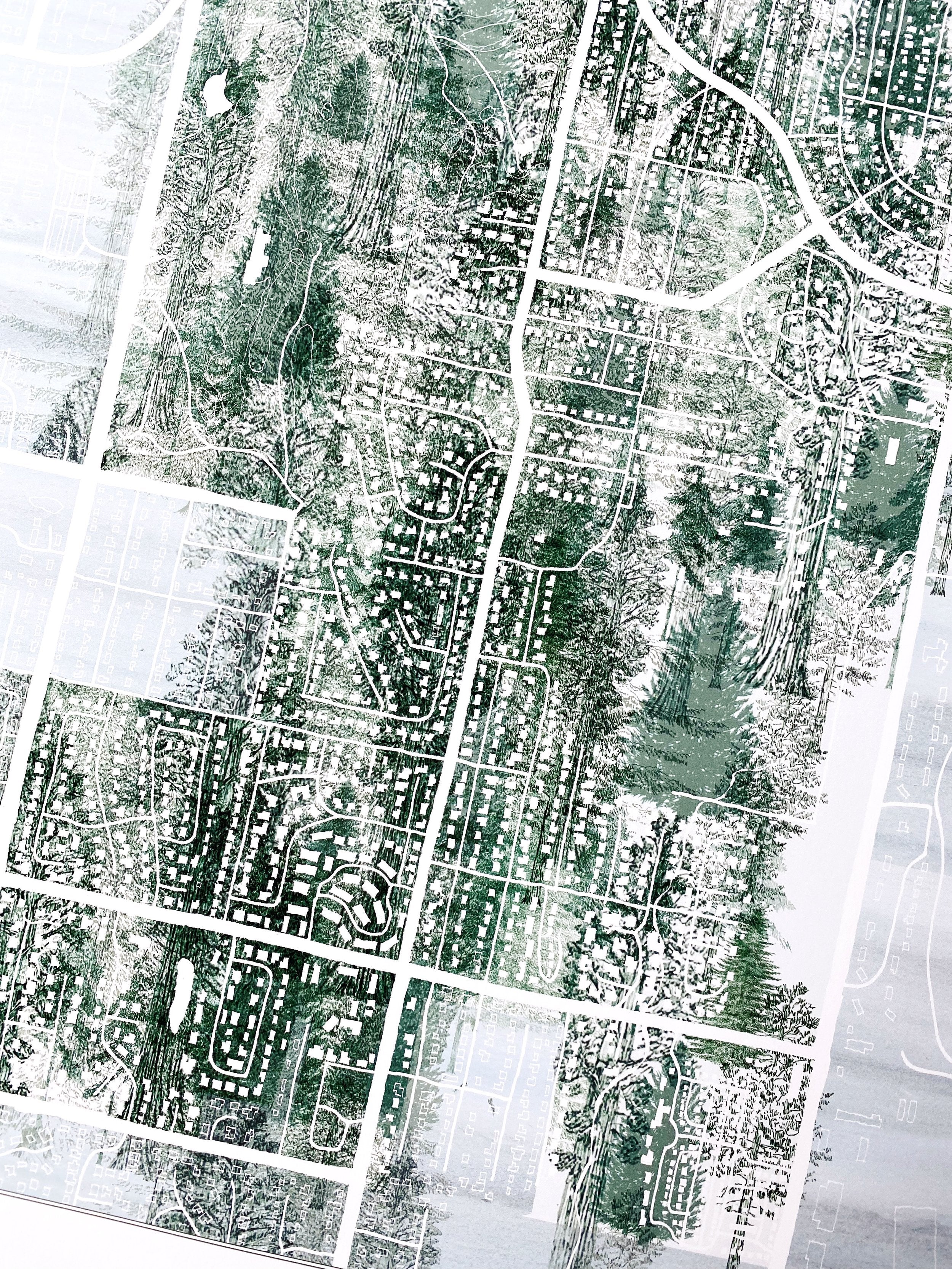 FIRCREST  Washington Fir Forest Botanical Map: PRINT