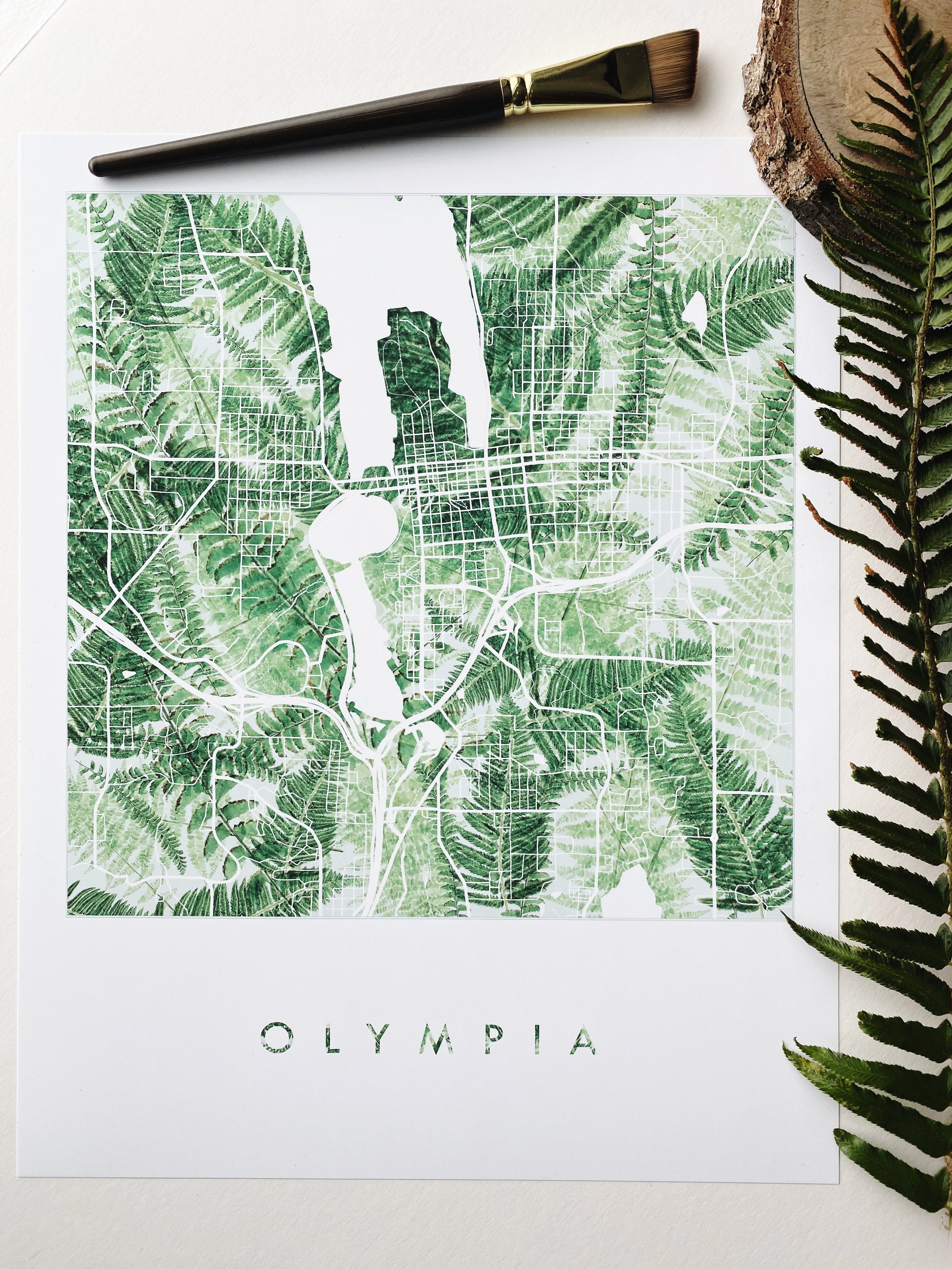 OLYMPIA Washington Ferns Botanical Map: PRINT