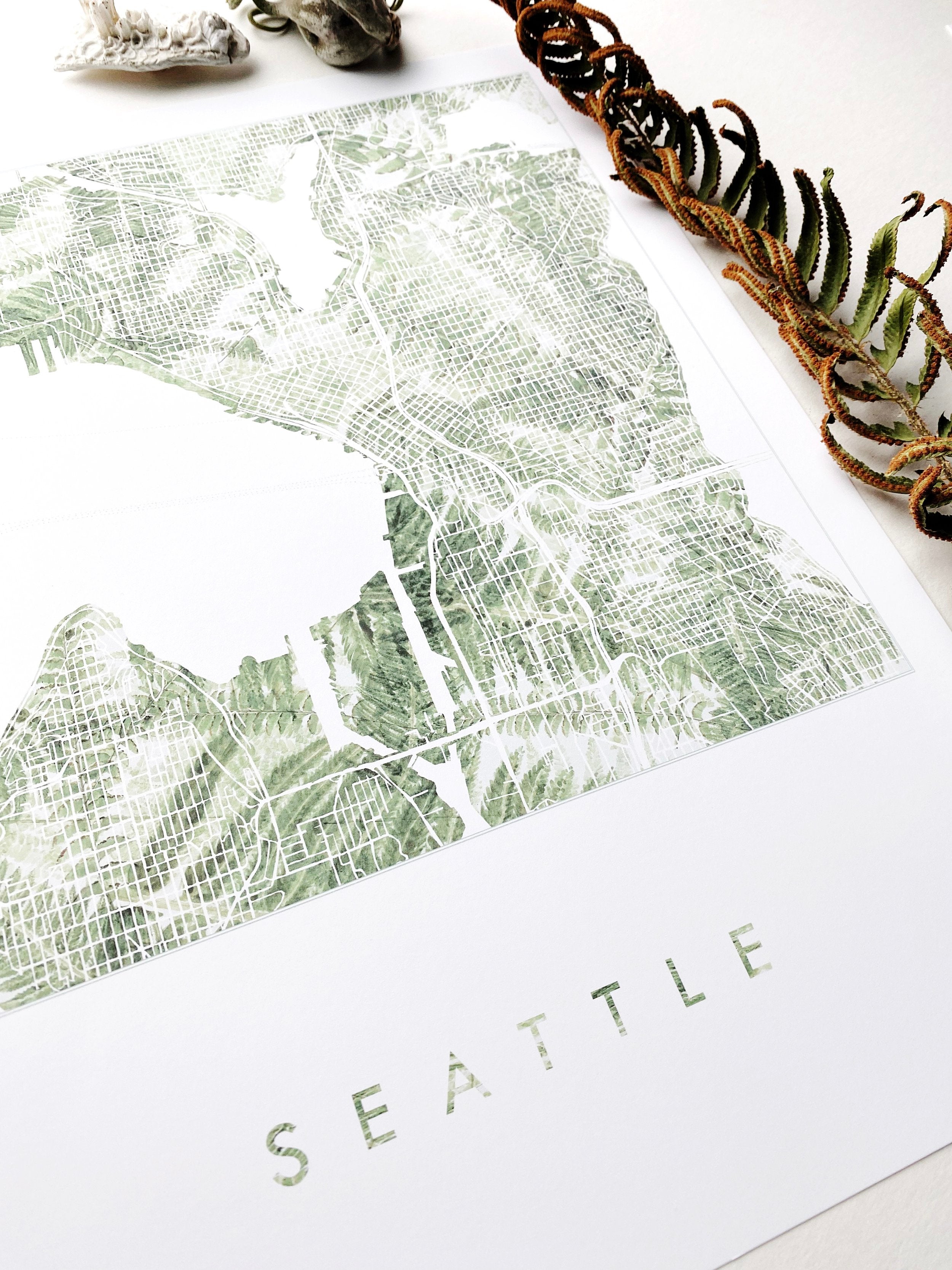SEATTLE Washington Ferns Botanical Map: PRINT