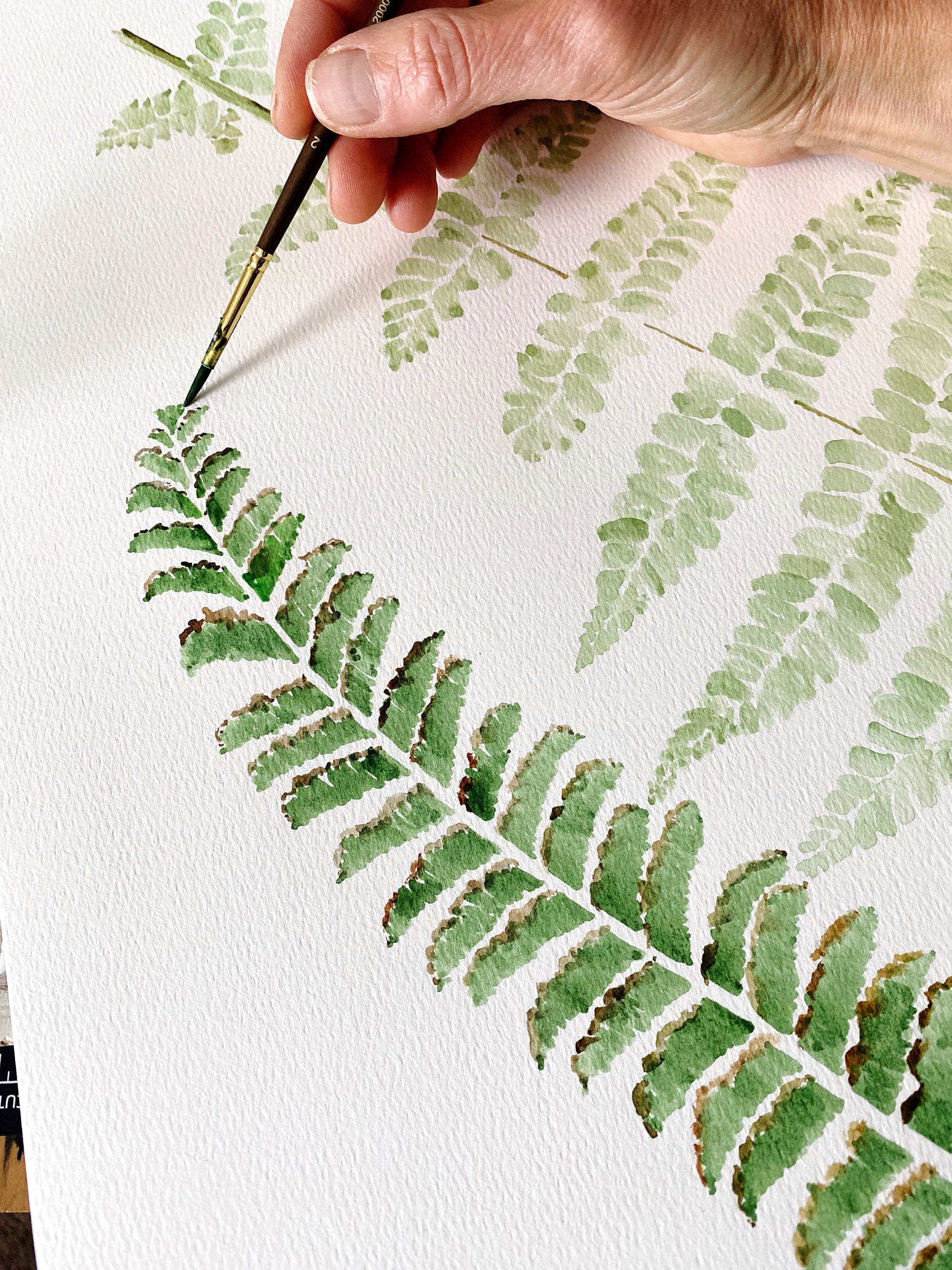 FERNS Watercolor Map - thank you card