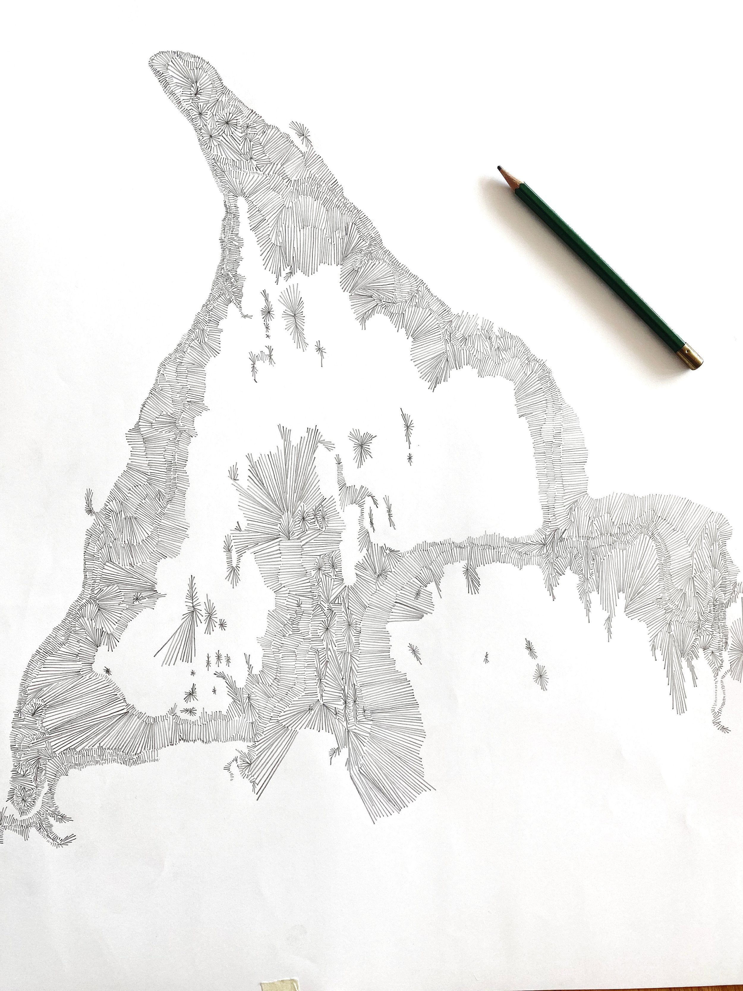 TACOMA Land + Water Map Drawing: PRINT