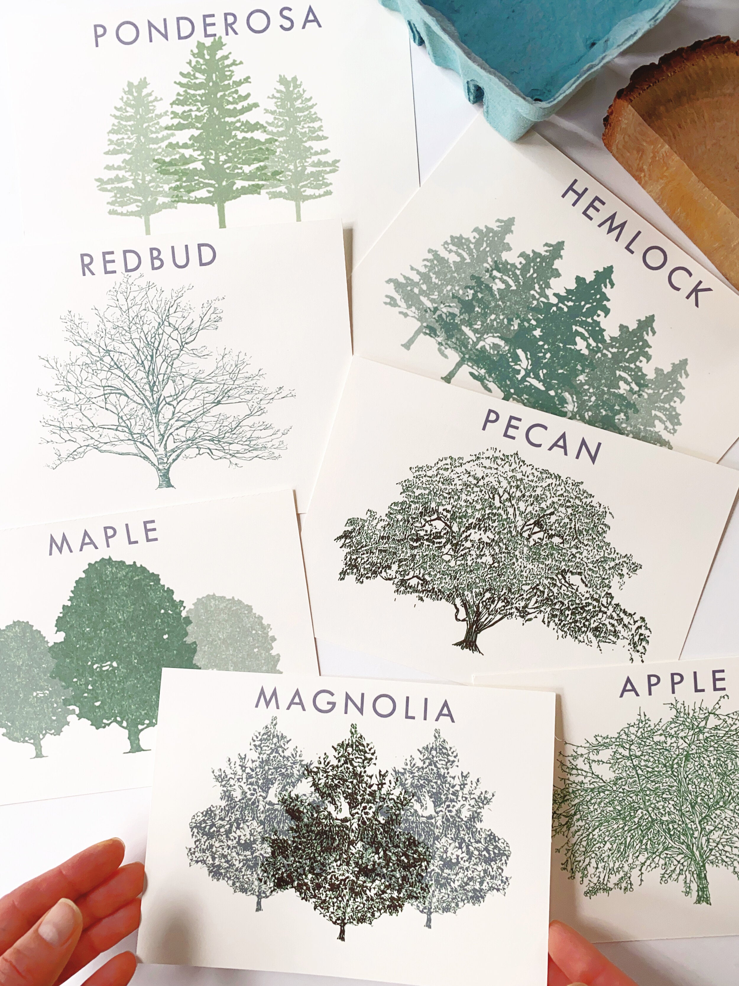 Wedding Table Cards: TREES