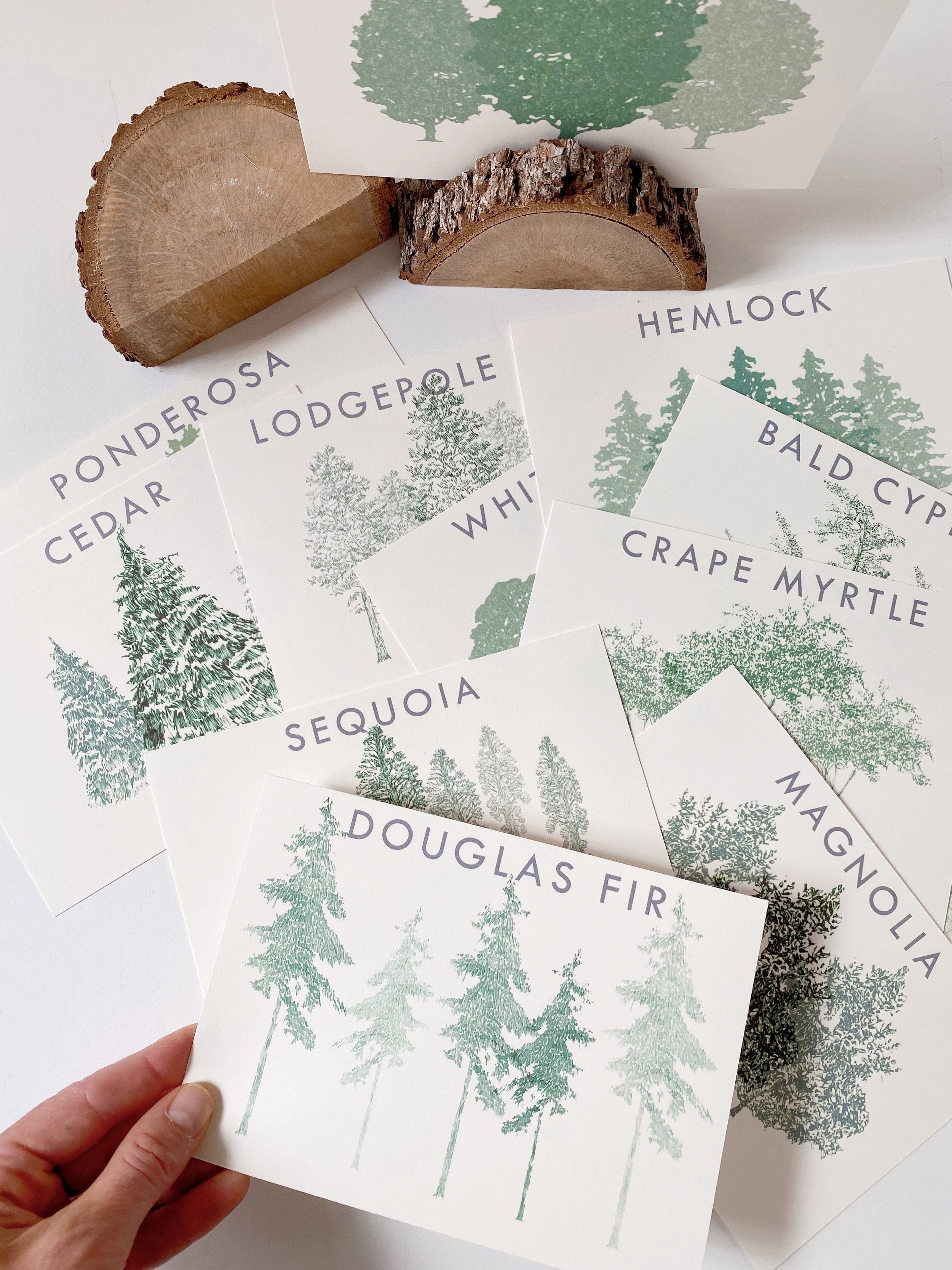 Wedding Table Cards: TREES