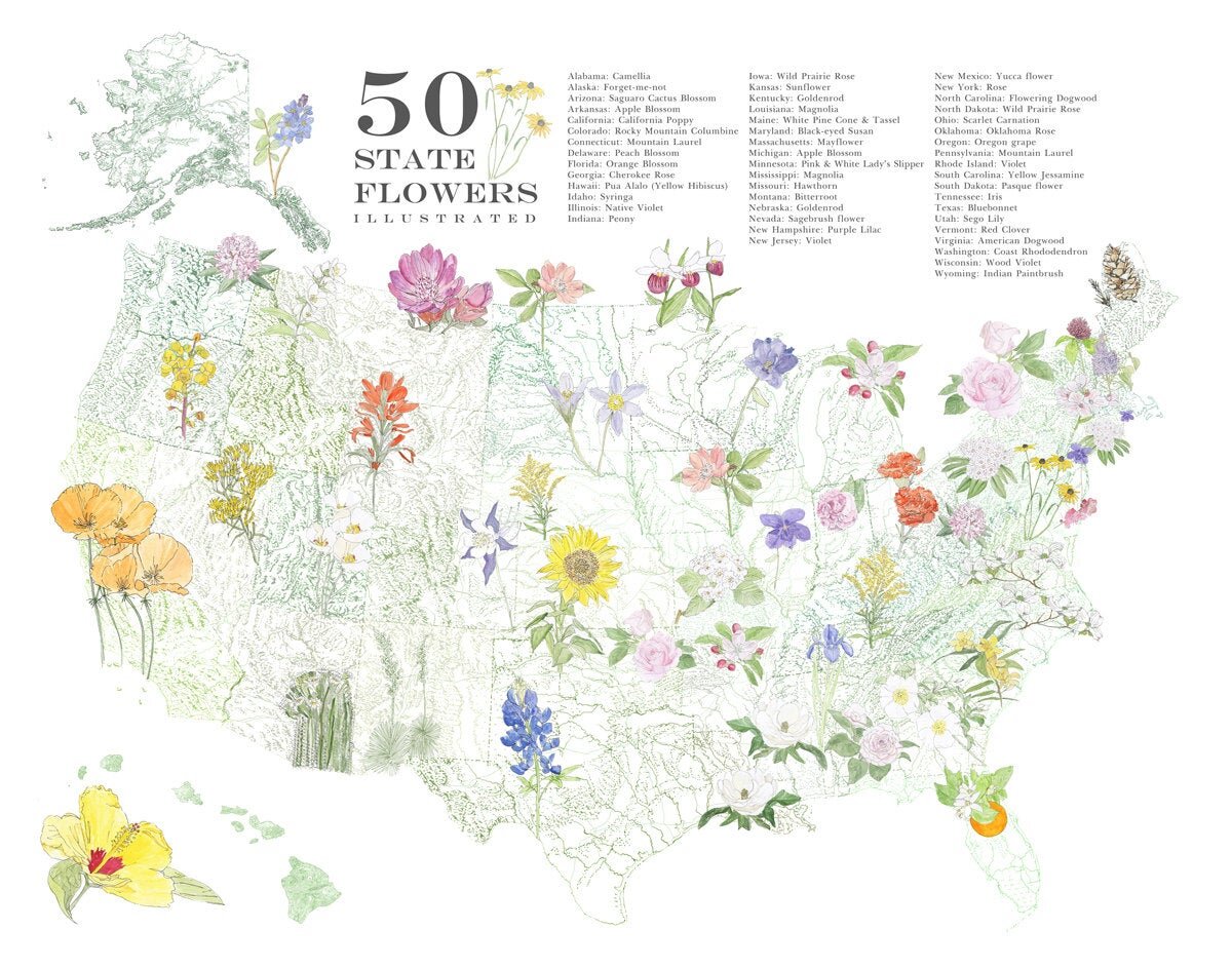 STATE FLOWERscape Map Drawing: PRINT (all 50 - with key)