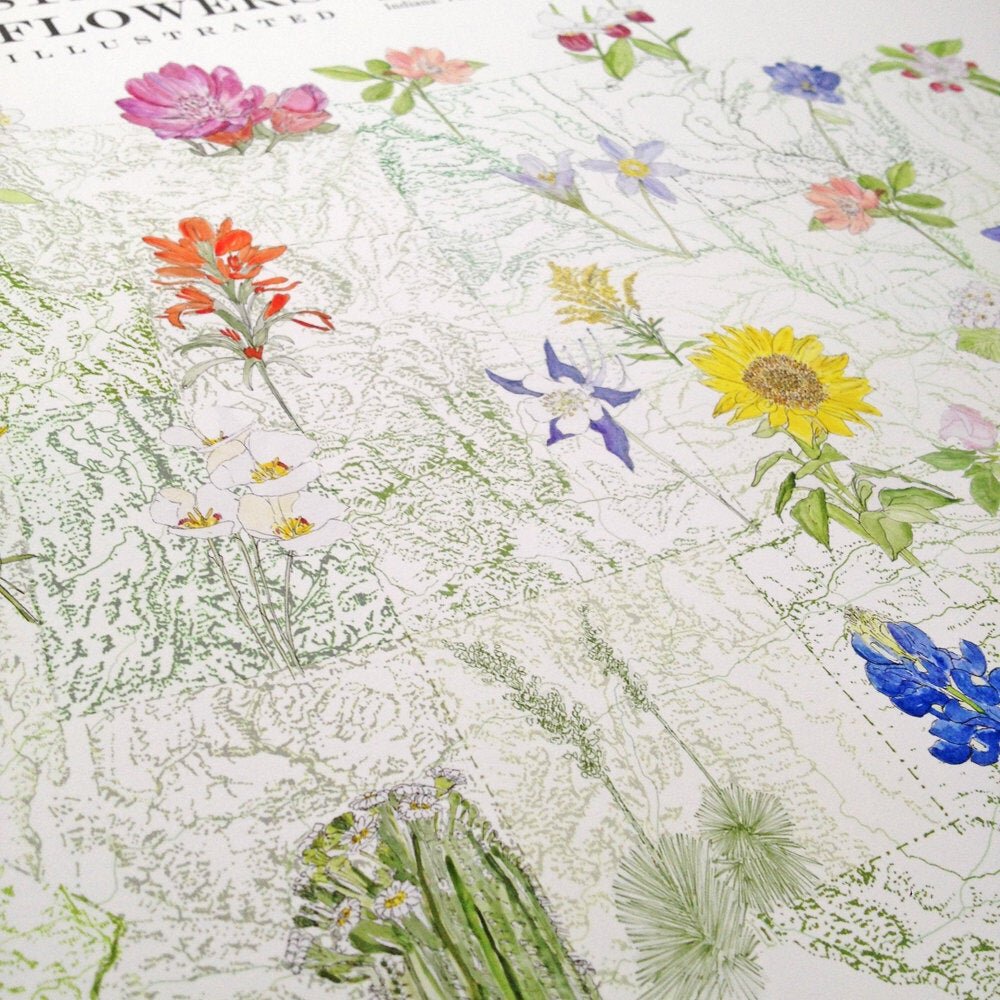 STATE FLOWERscape Map Drawing: PRINT (all 50 - with key)