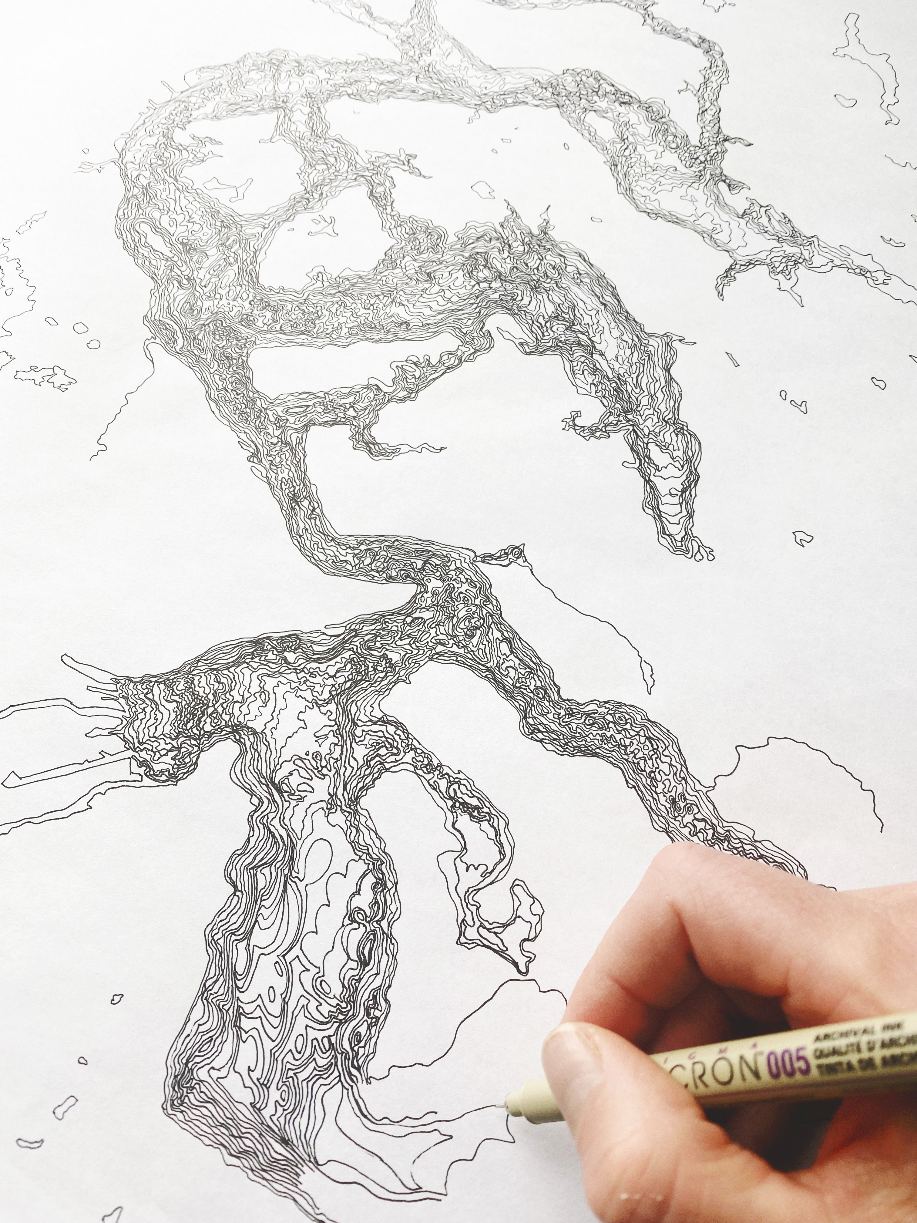 SOUTH Puget SOUND Land + Water Map Drawing: PRINT