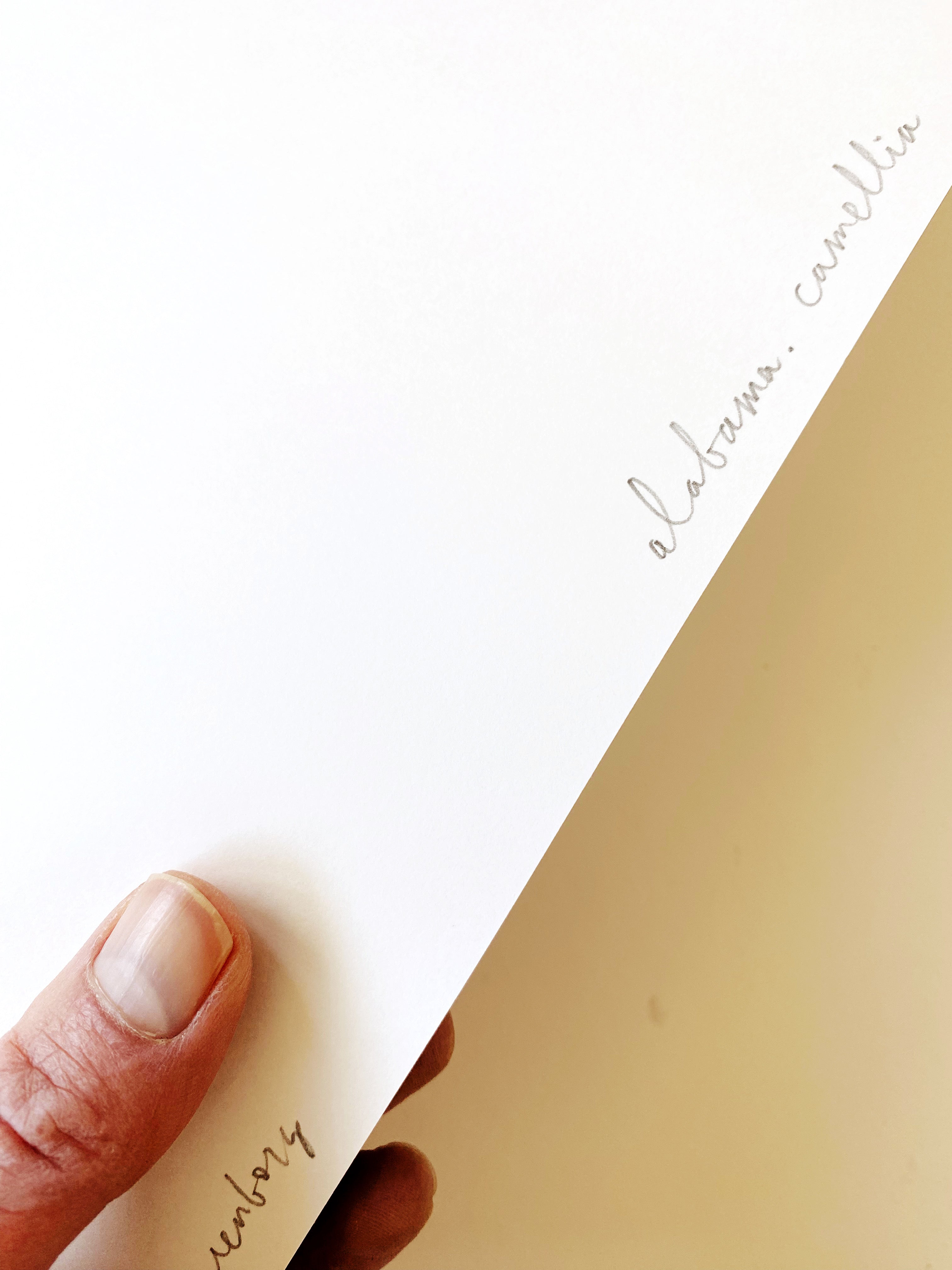 ALABAMA State Flower Map: Camellia: PRINT