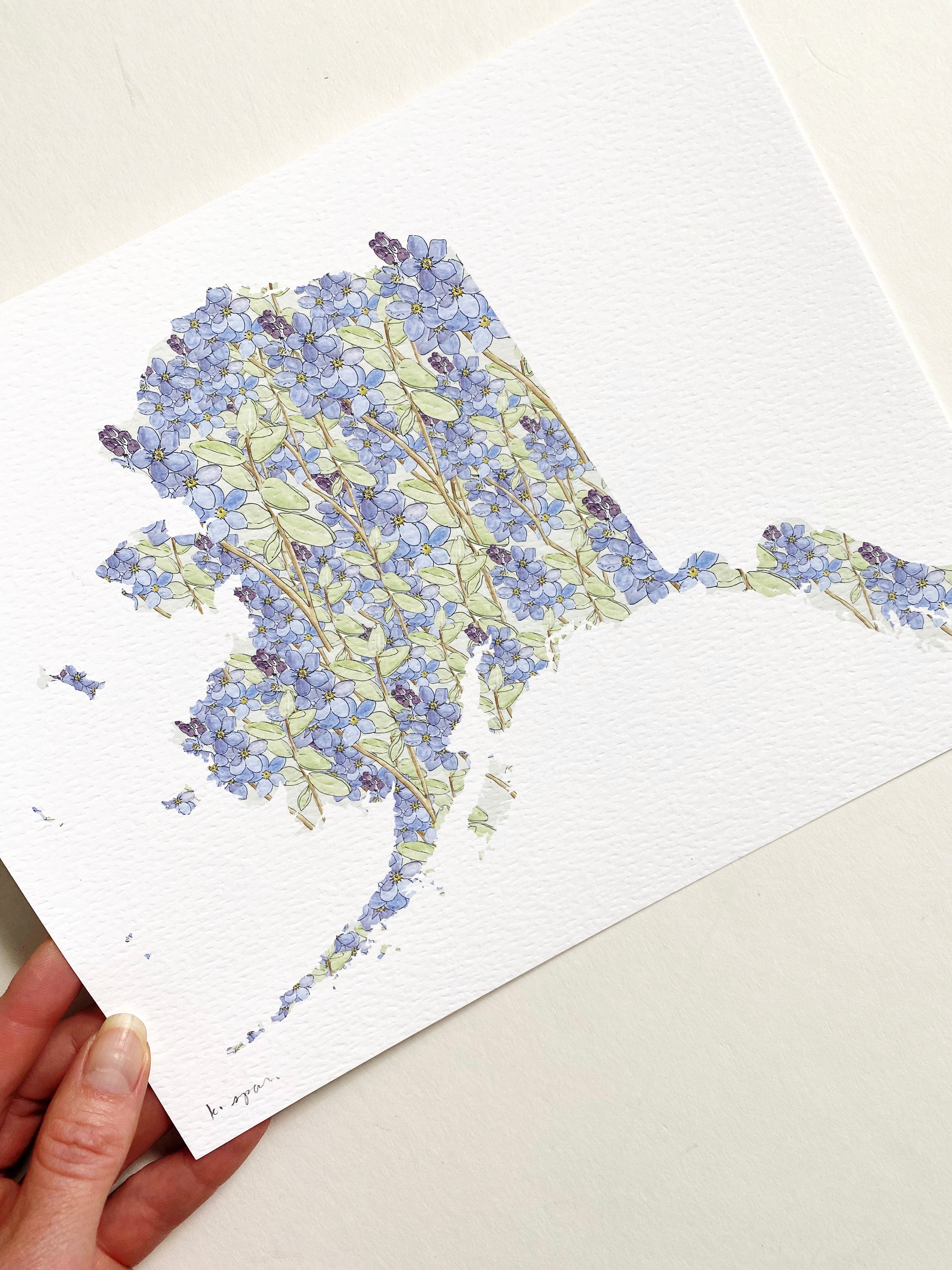 ALASKA State Flower Map: Forget-me-not: PRINT