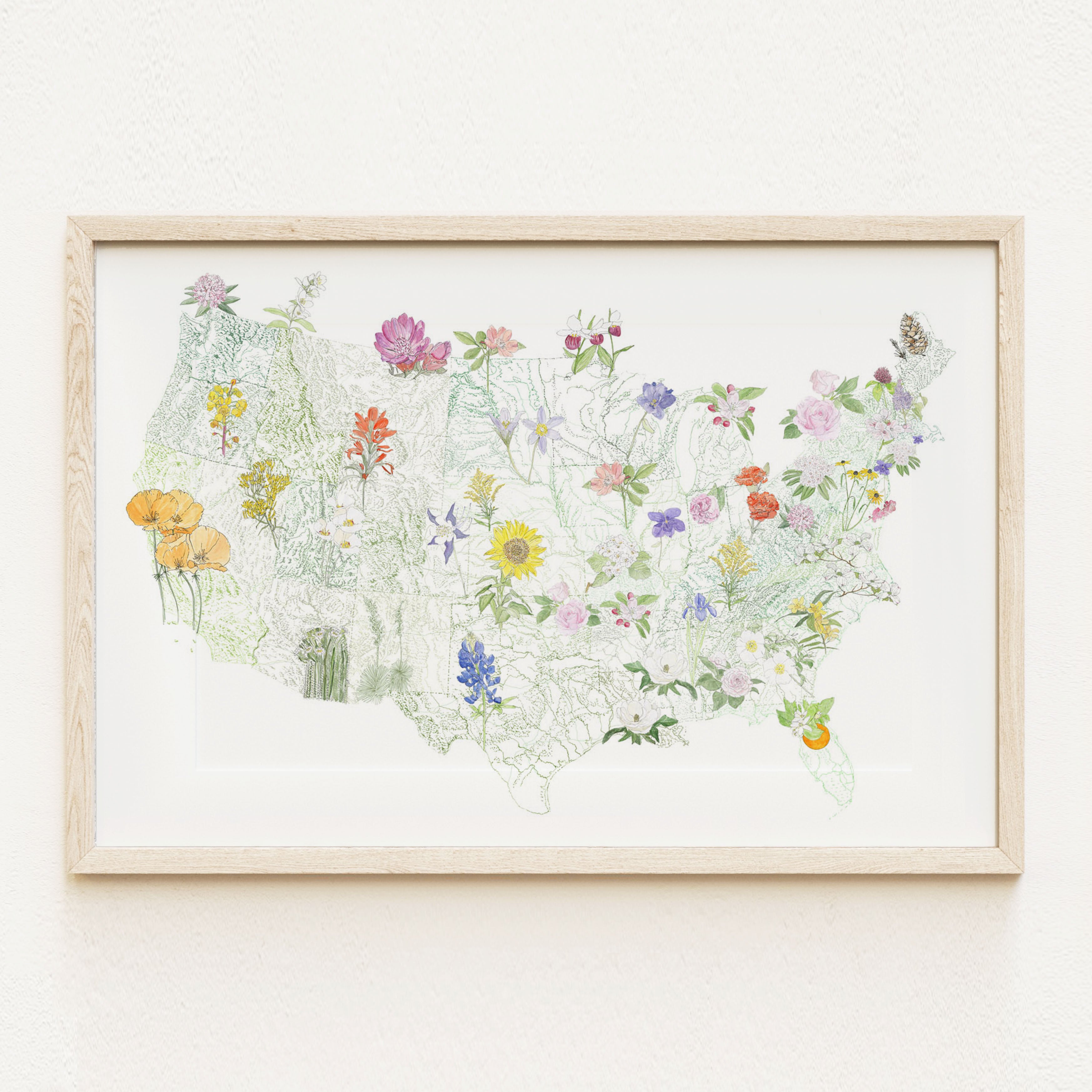 STATE FLOWERscape Map Drawing: PRINT