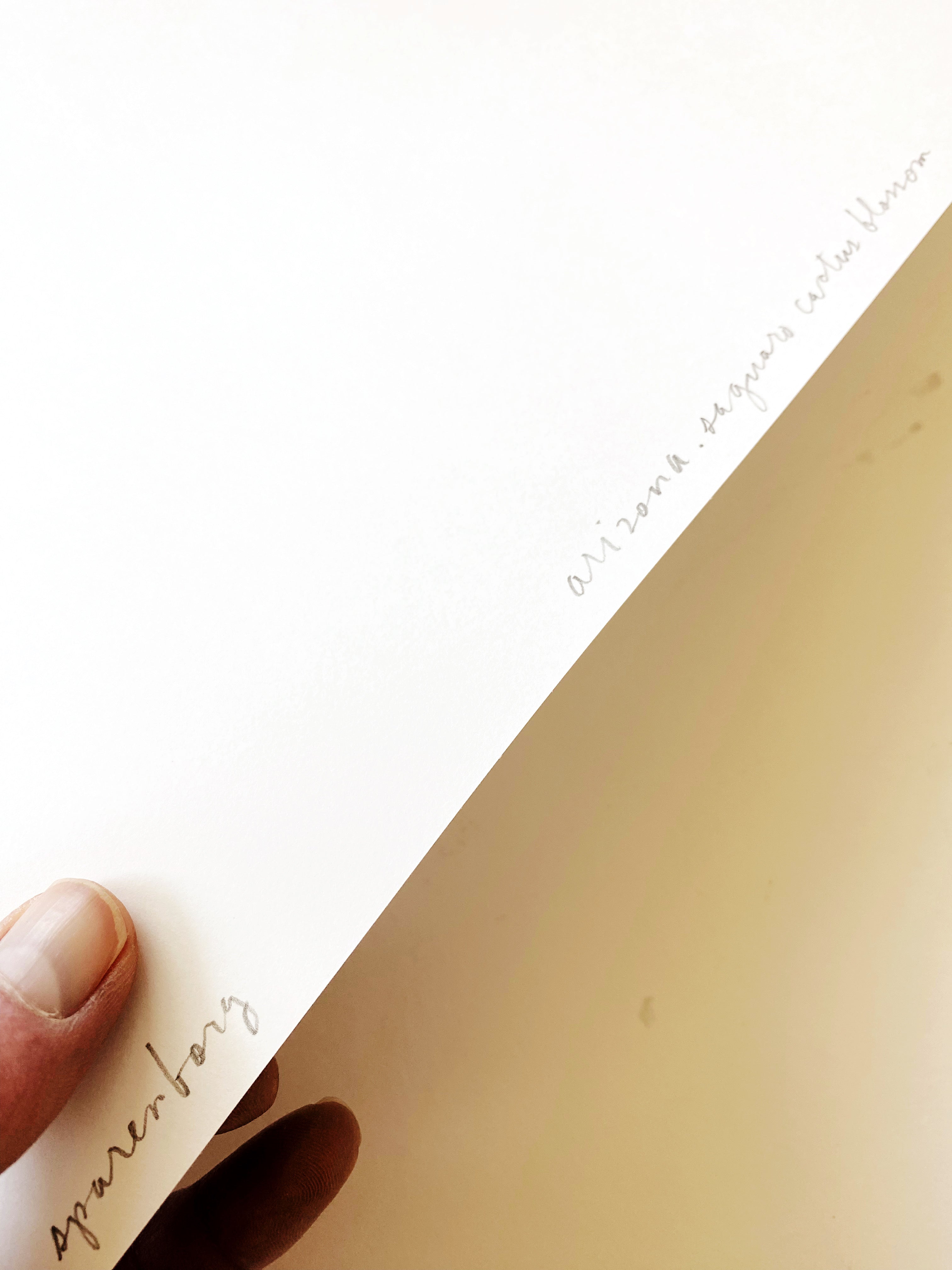 ARIZONA State Flower Map: Saguaro Cactus Blossom: PRINT