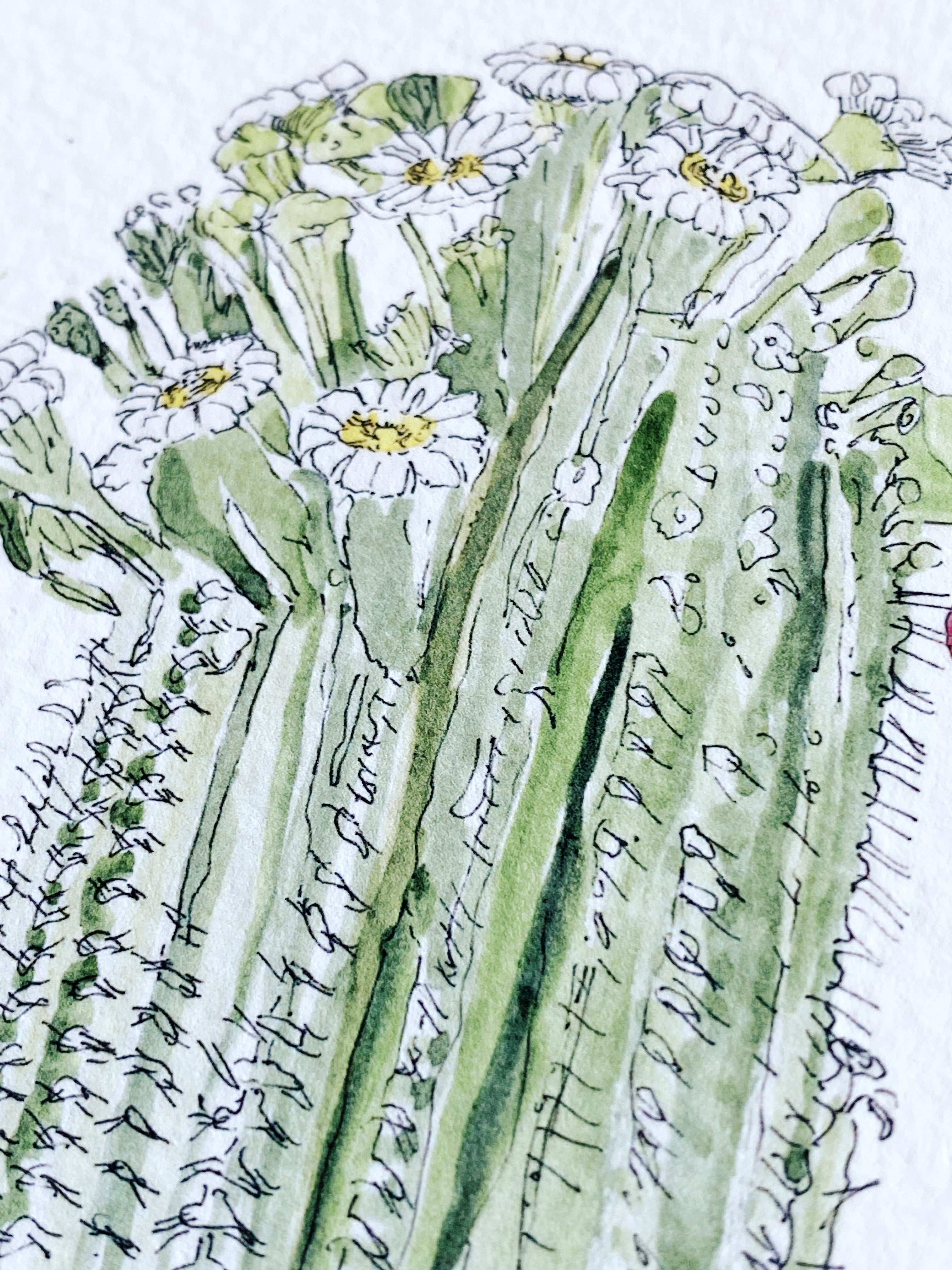 ARIZONA State Flower Map: Saguaro Cactus Blossom: PRINT