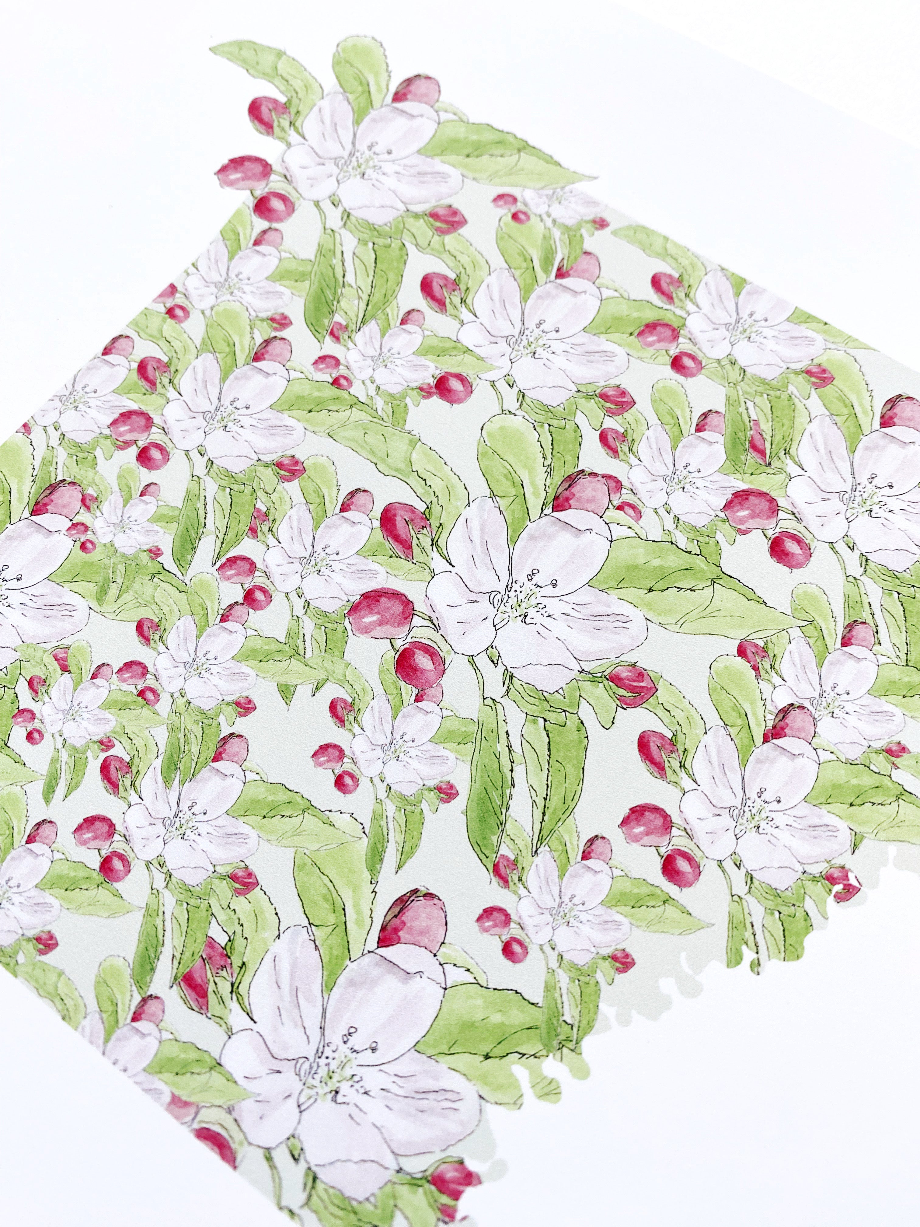 ARKANSAS State Flower Map: Apple Blossom: PRINT