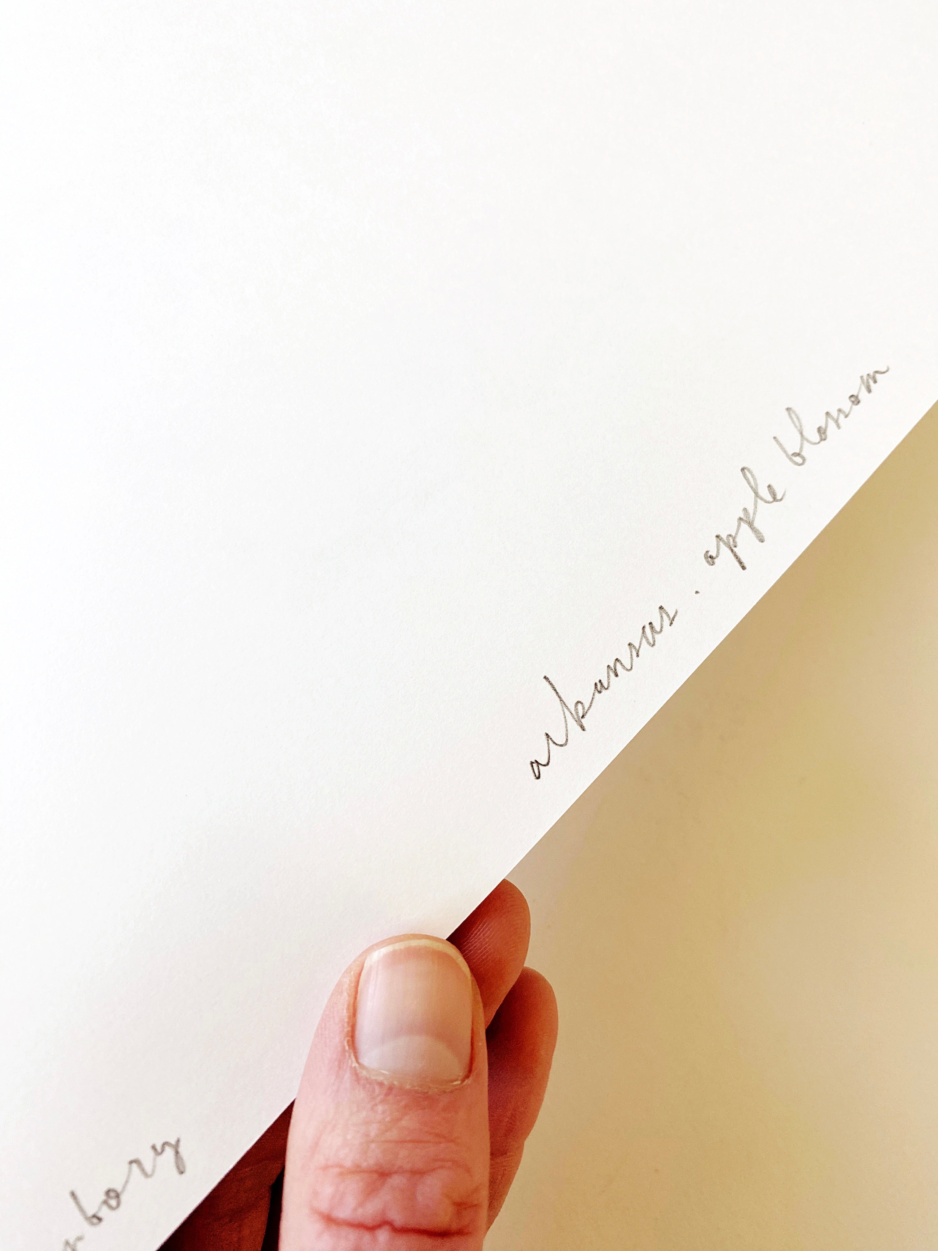 ARKANSAS State Flower Map: Apple Blossom: PRINT