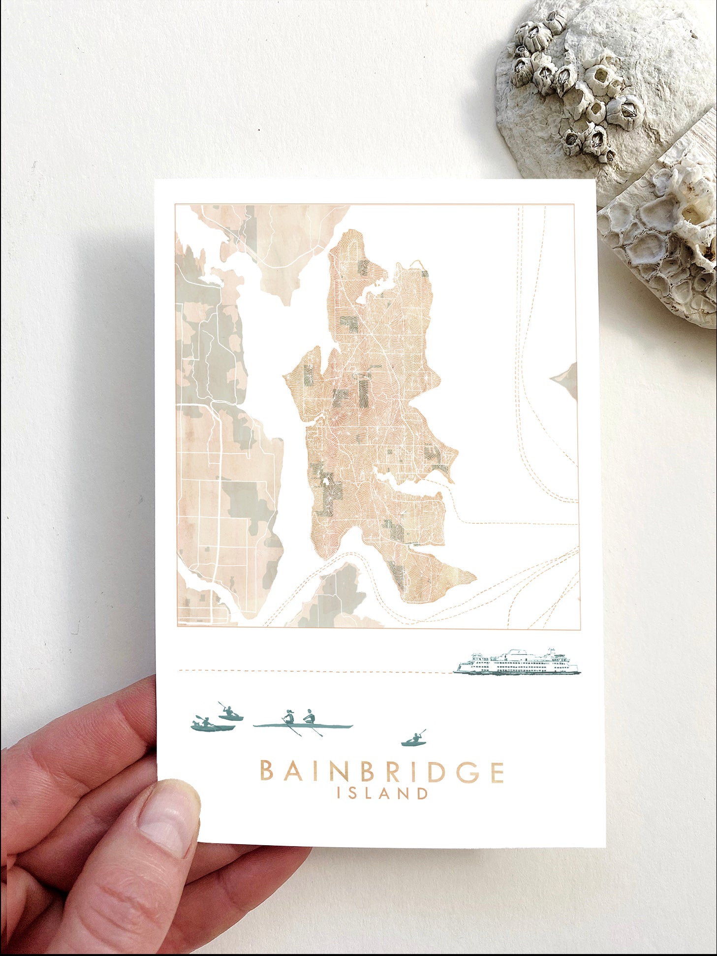BAINBRIDGE ISLAND Washington Ferry Rowers Map Postcard