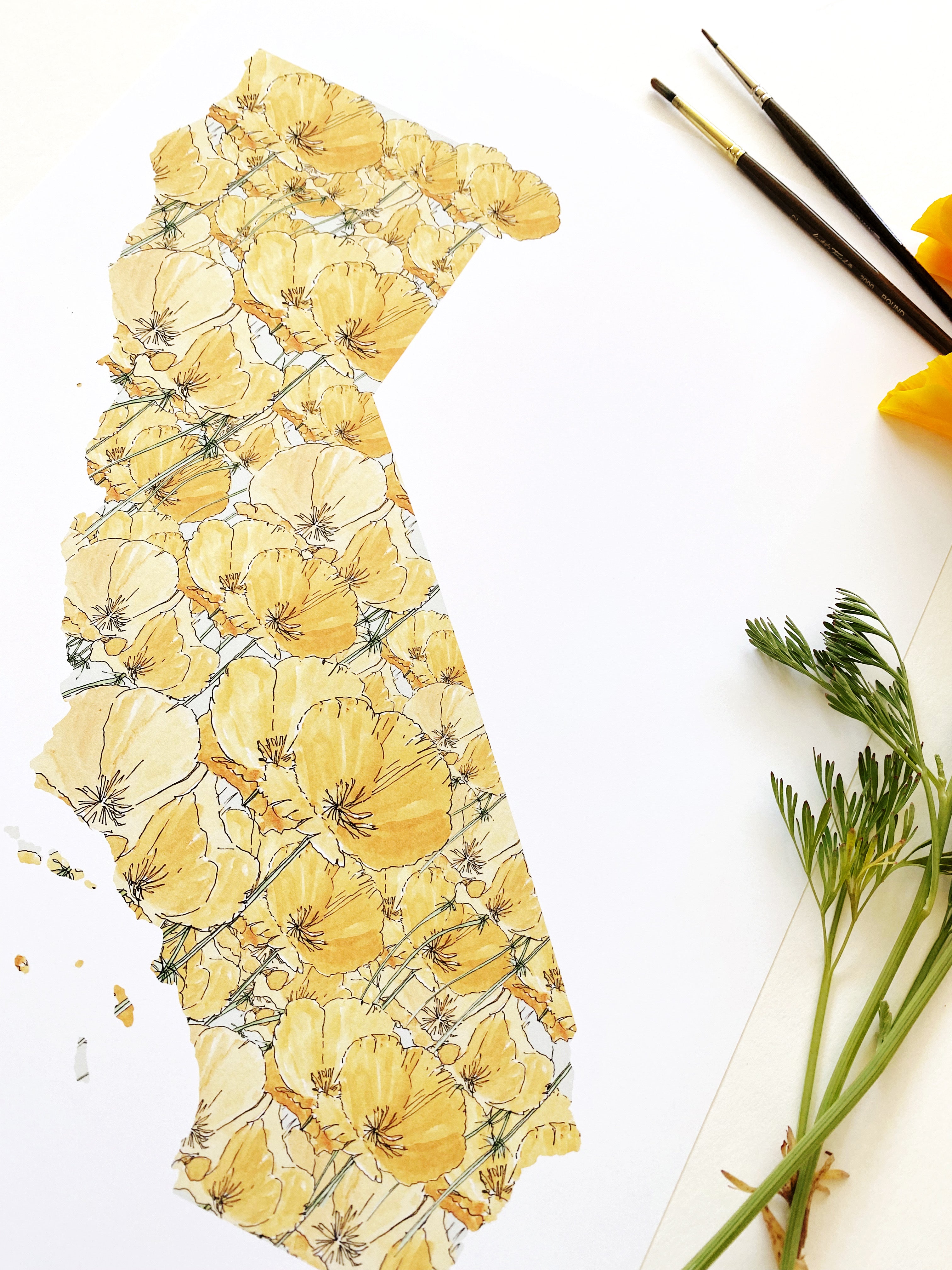 CALIFORNIA State Flower Map: California Poppy: PRINT