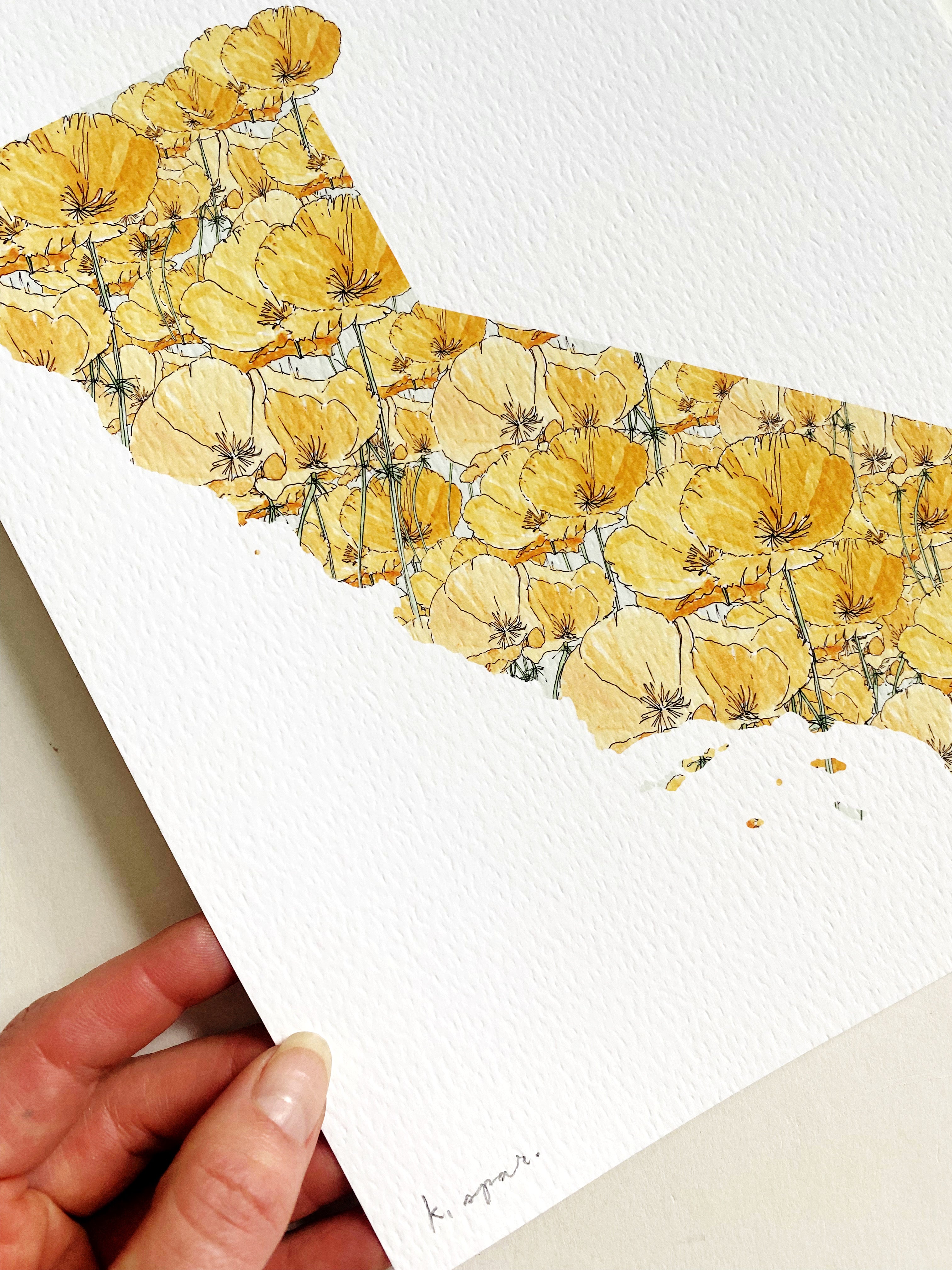 CALIFORNIA State Flower Map: California Poppy: PRINT