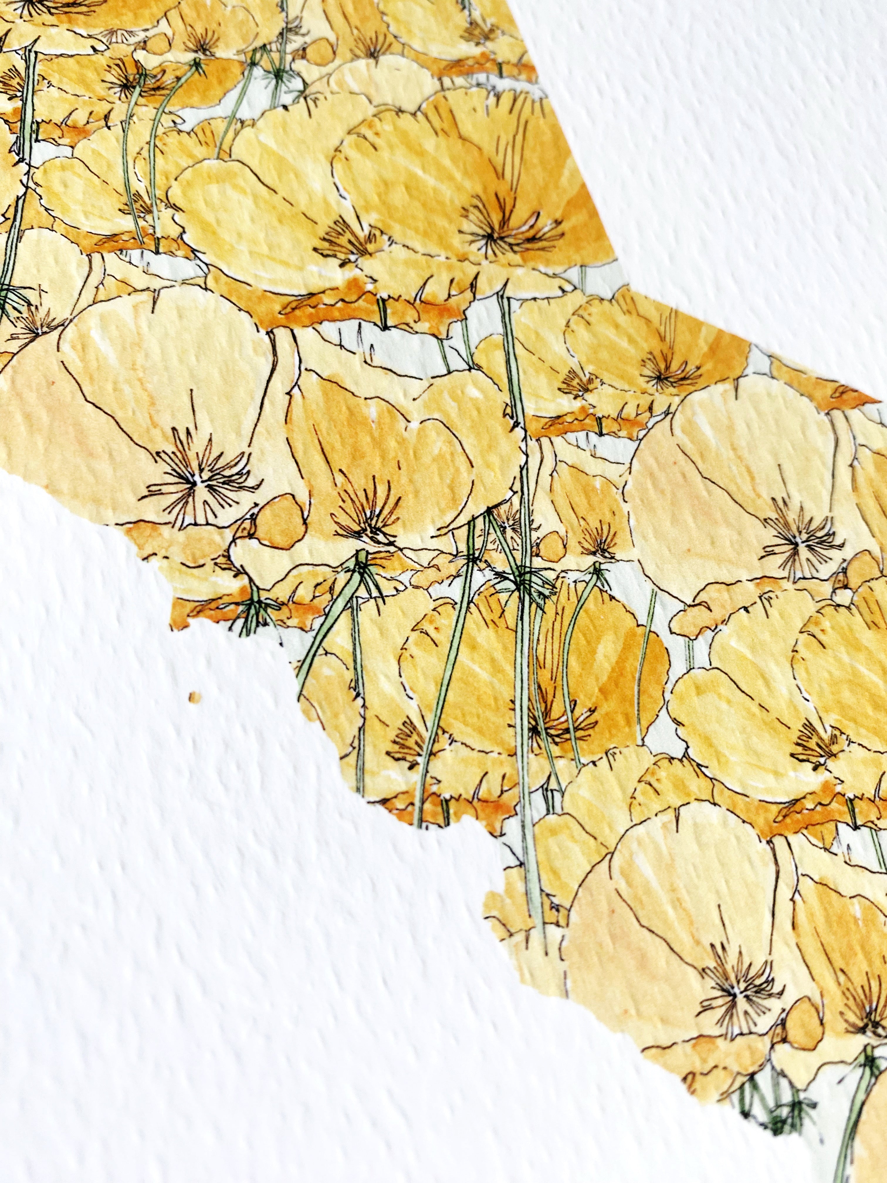 CALIFORNIA State Flower Map: California Poppy: PRINT