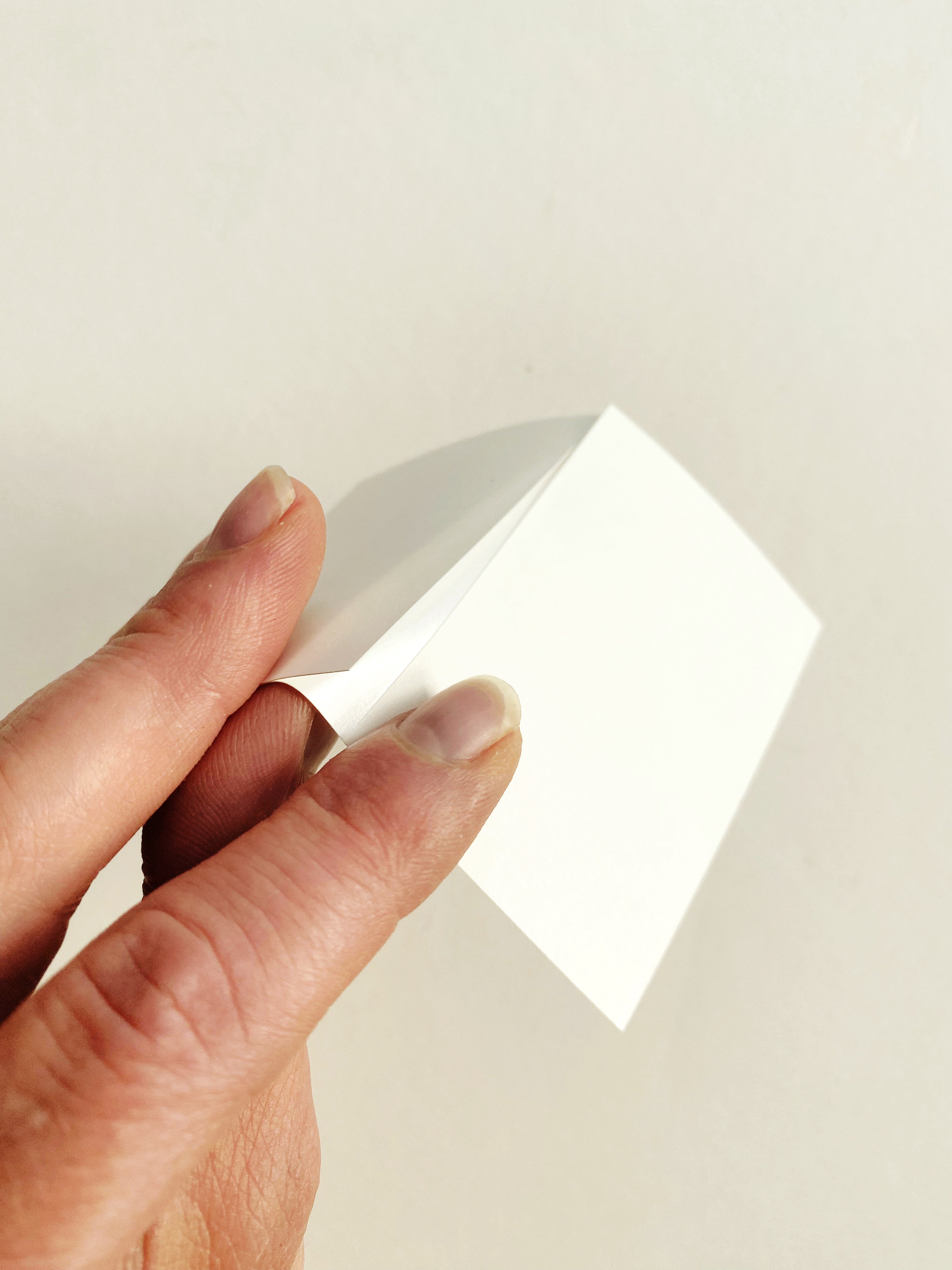 ColorFULL OLYMPIA Washington Map Sticker