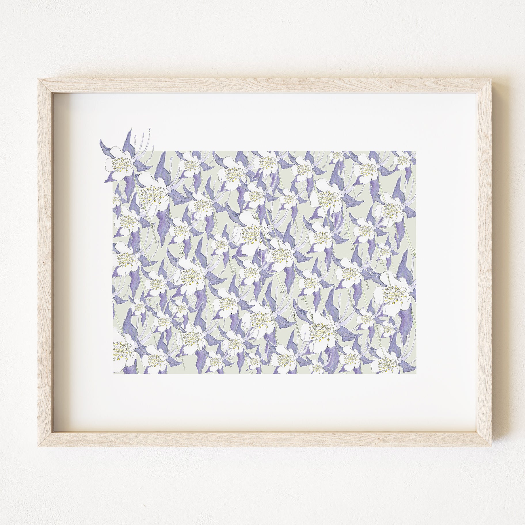 COLORADO State Flower Map: Rocky Mountain Columbine: PRINT