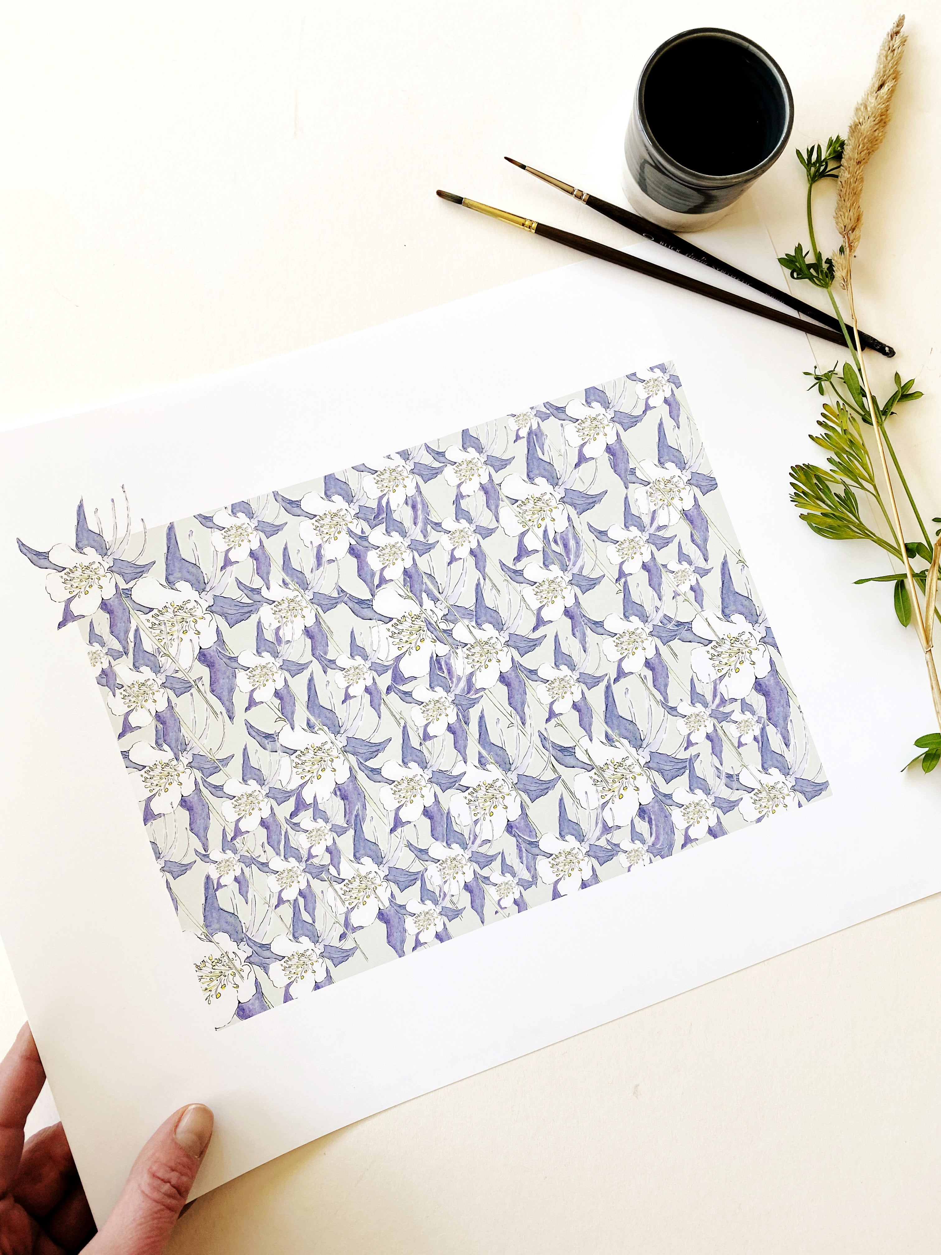 COLORADO State Flower Map: Rocky Mountain Columbine: PRINT