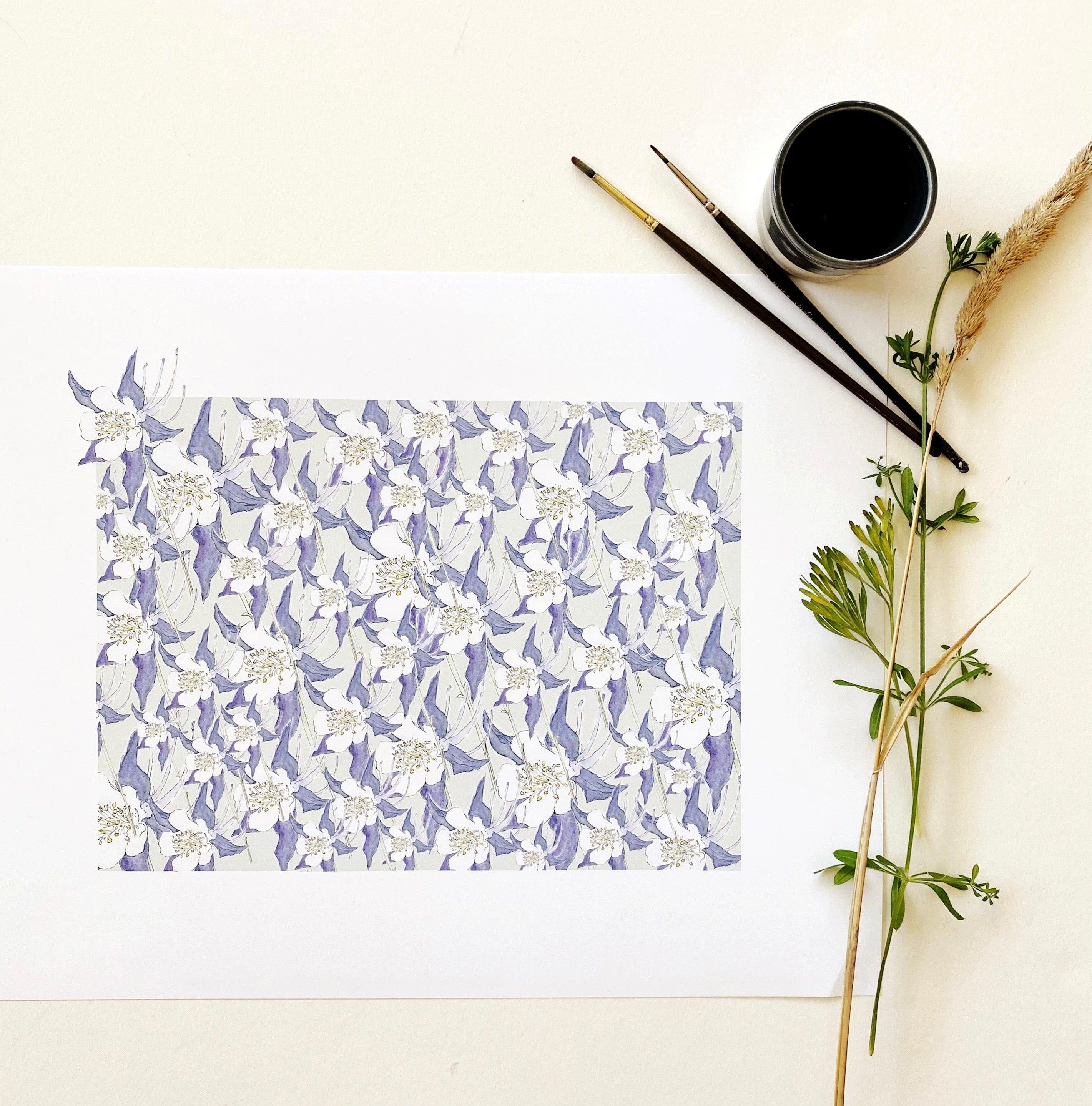 COLORADO State Flower Map: Rocky Mountain Columbine: PRINT