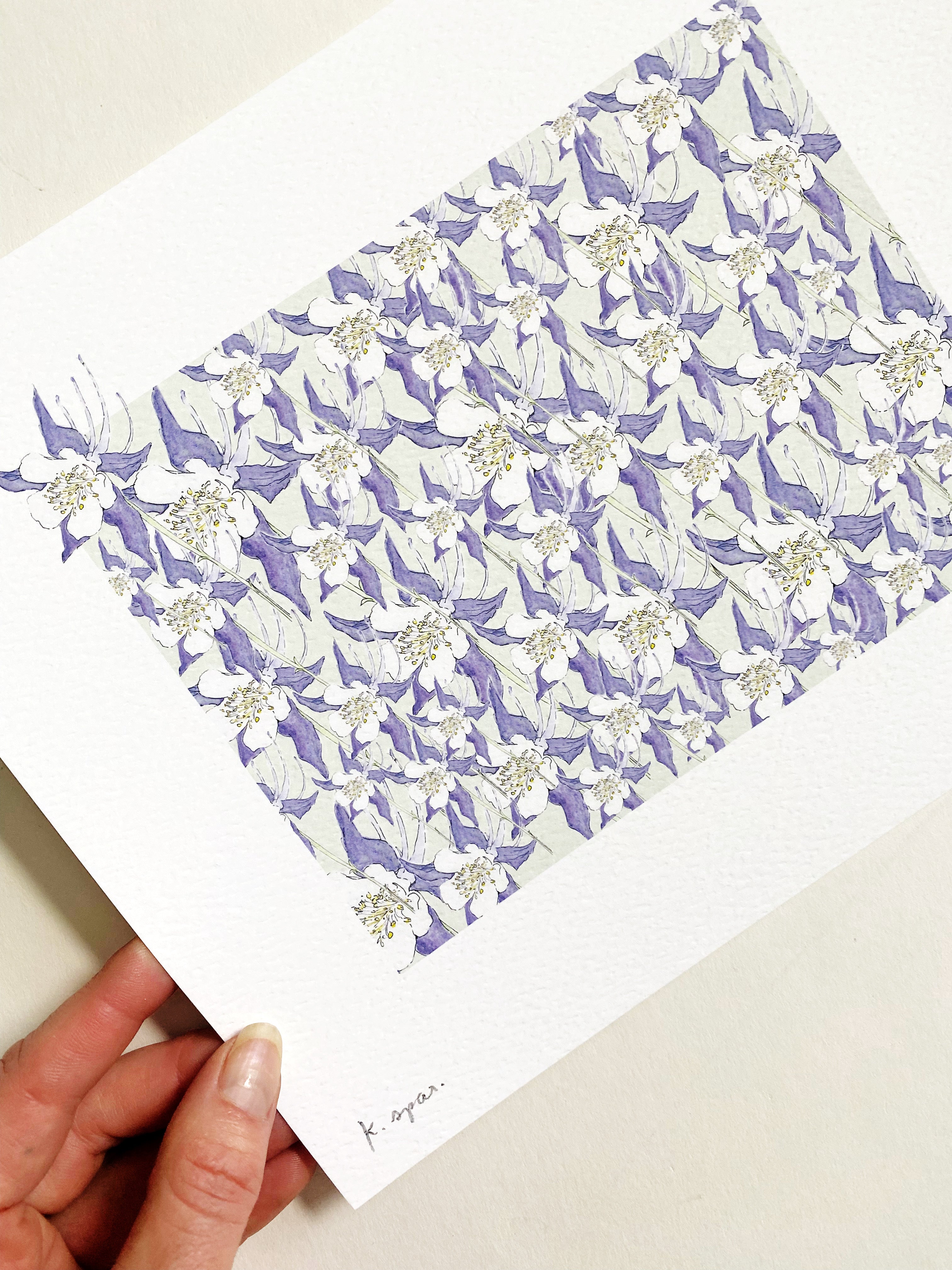 COLORADO State Flower Map: Rocky Mountain Columbine: PRINT