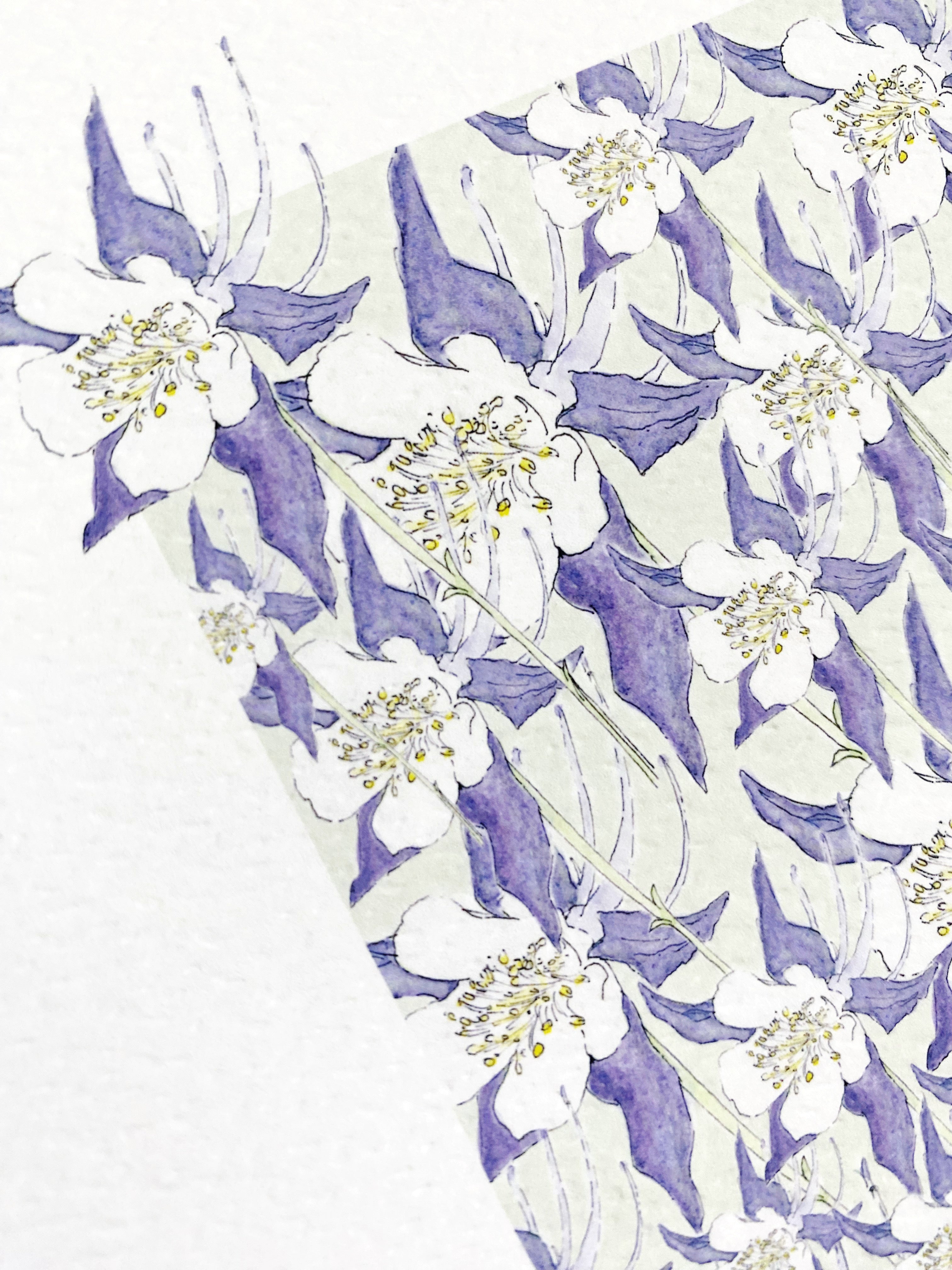 COLORADO State Flower Map: Rocky Mountain Columbine: PRINT