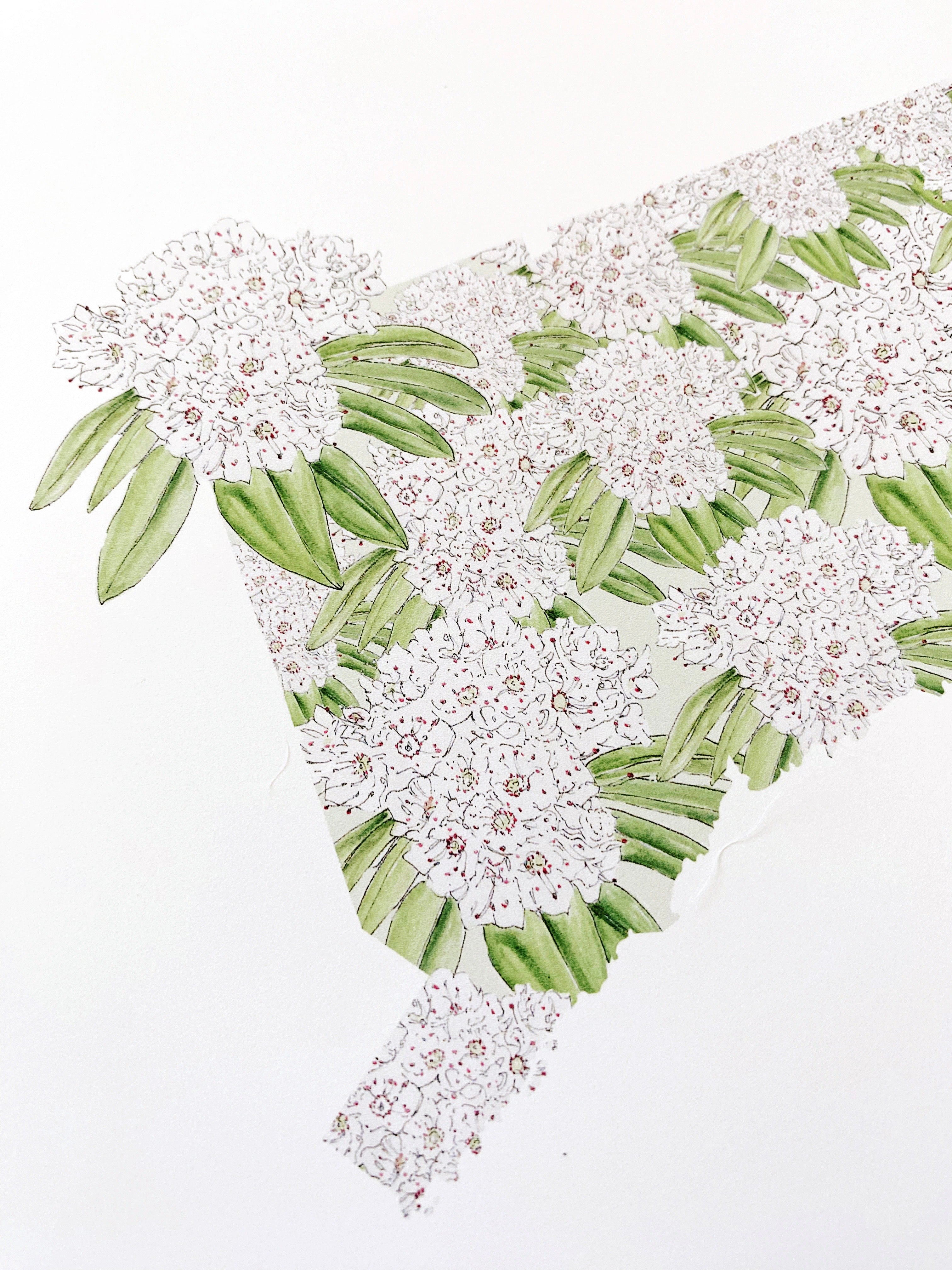 CONNECTICUT State Flower Map: Mountain Laurel: PRINT