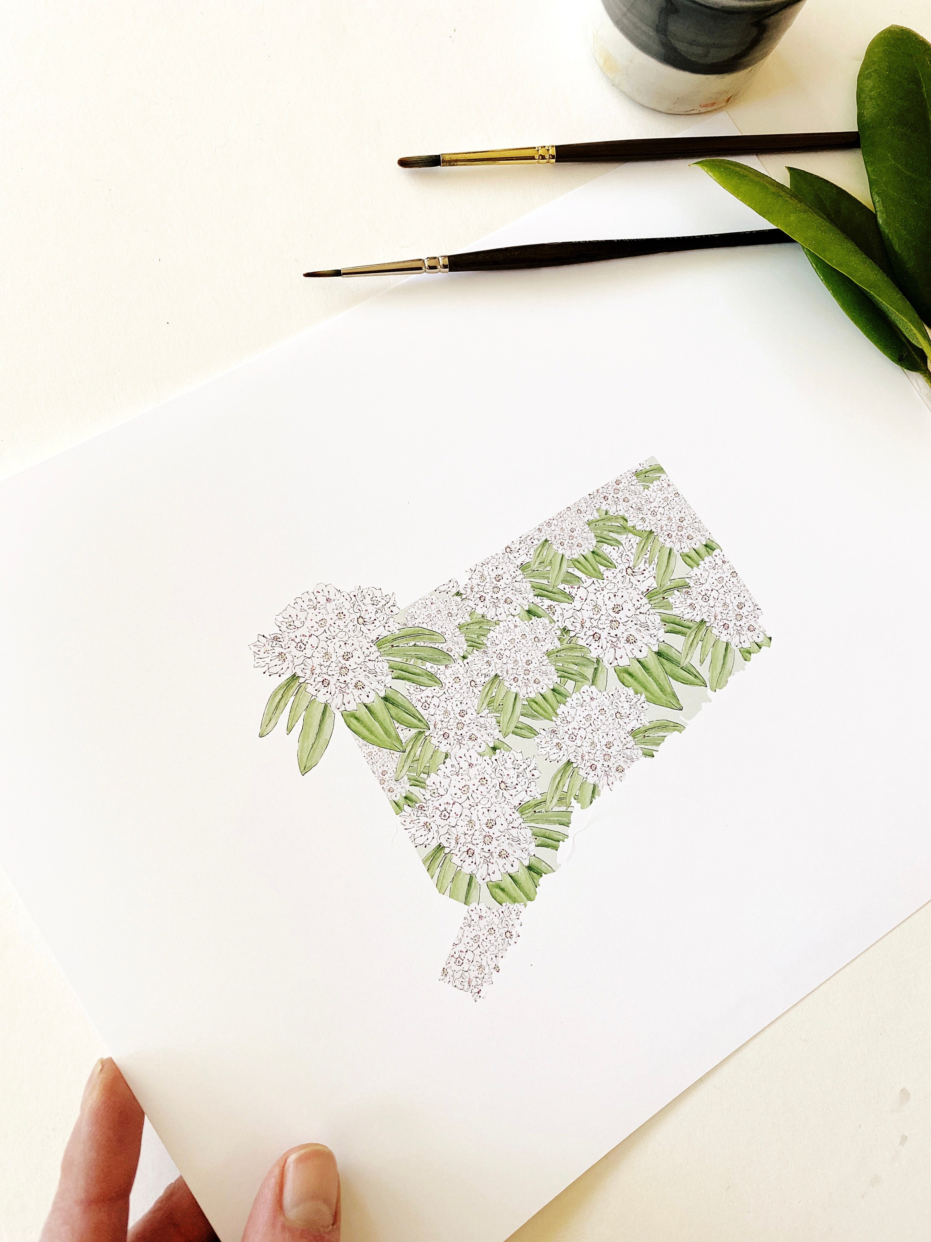 CONNECTICUT State Flower Map: Mountain Laurel: PRINT
