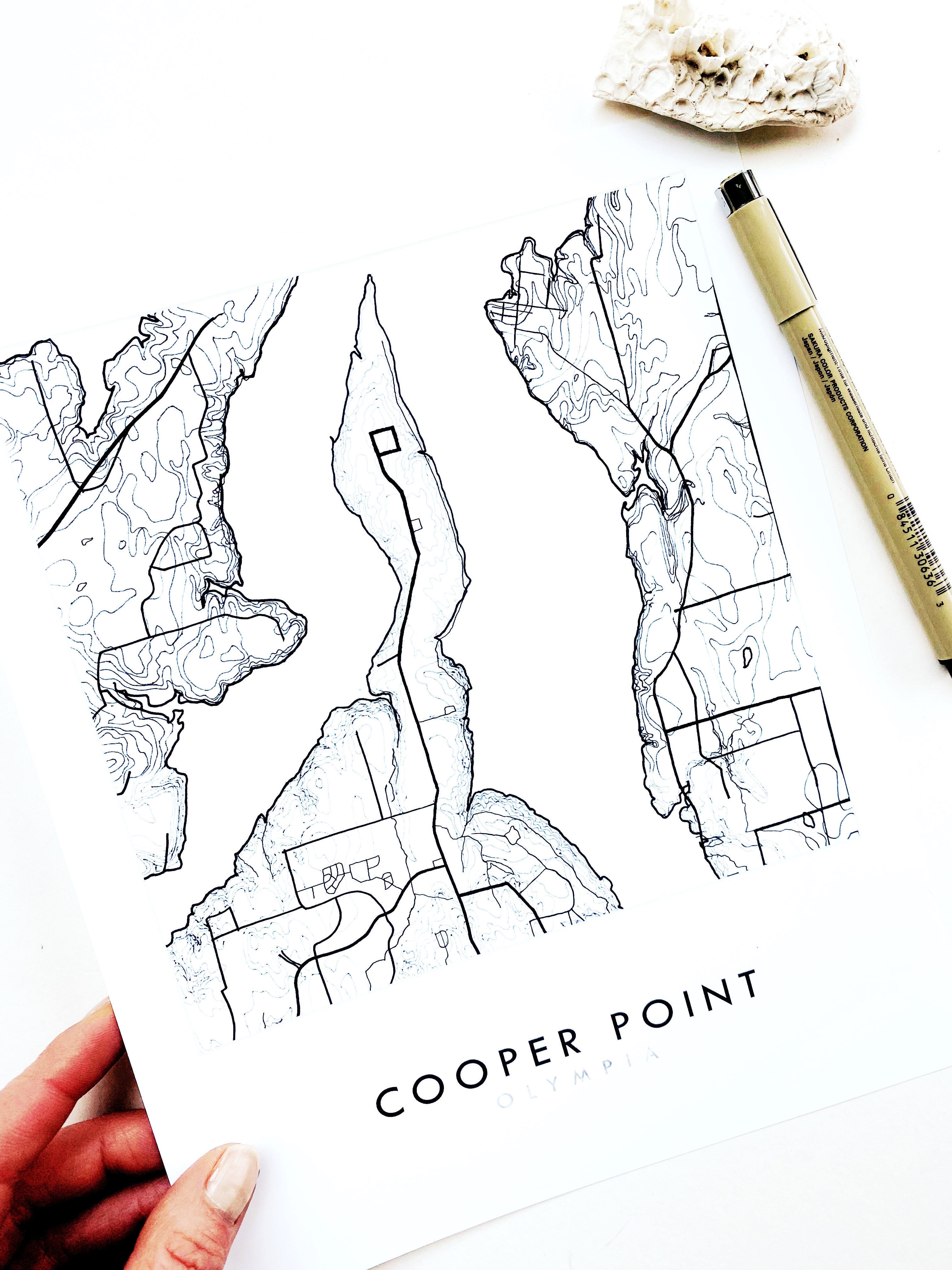 Cooper Point OLYMPIA Washington Neighborhood Map: PRINT