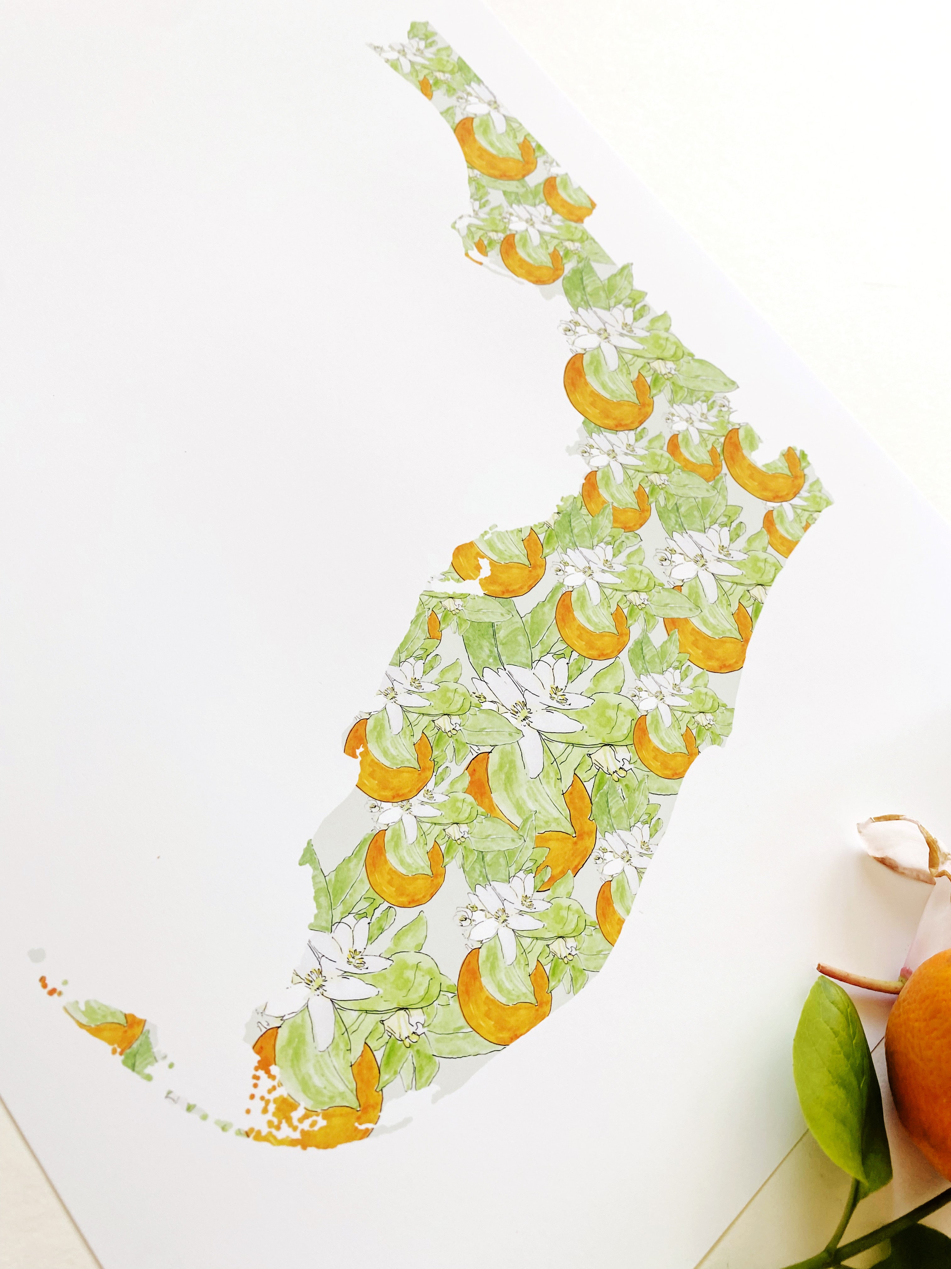 FLORIDA State Flower Map: Orange Blossom: PRINT