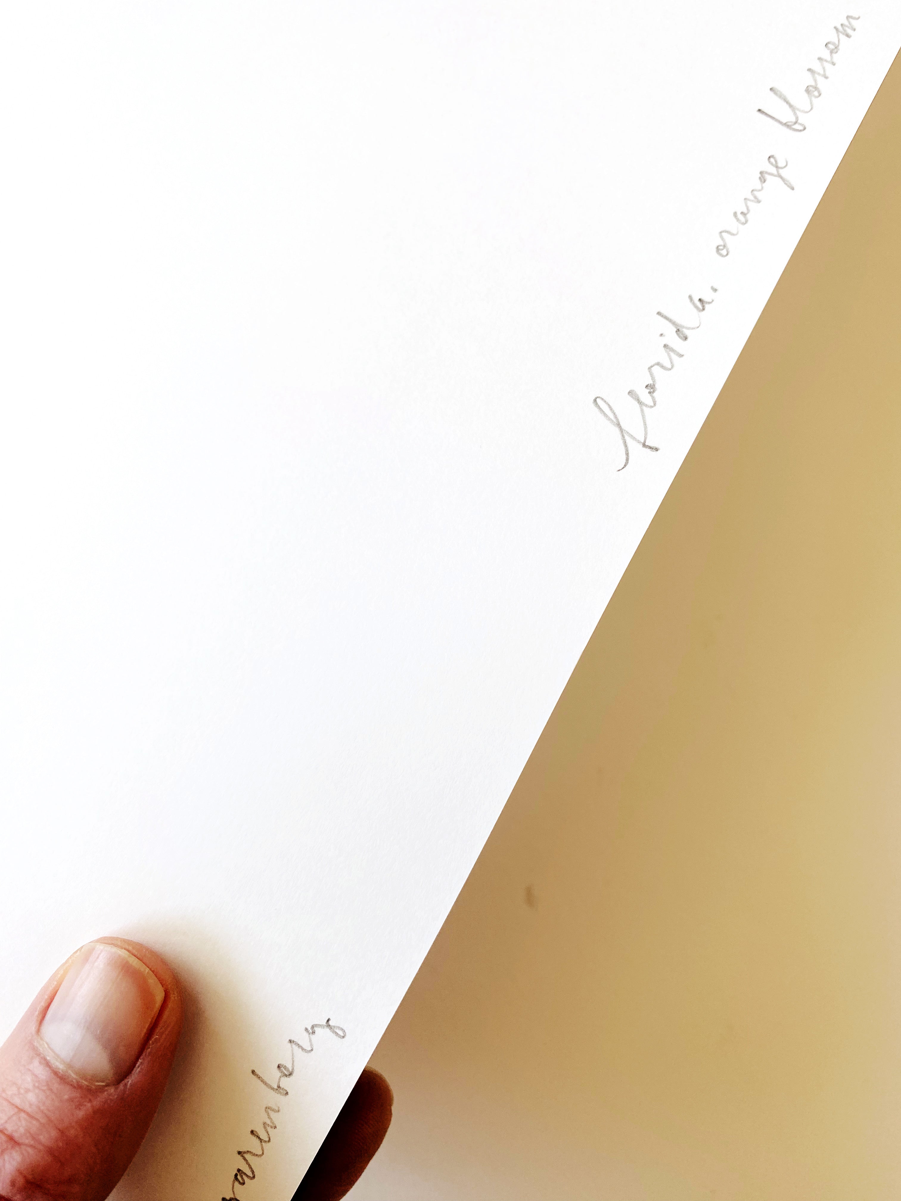 FLORIDA State Flower Map: Orange Blossom: PRINT