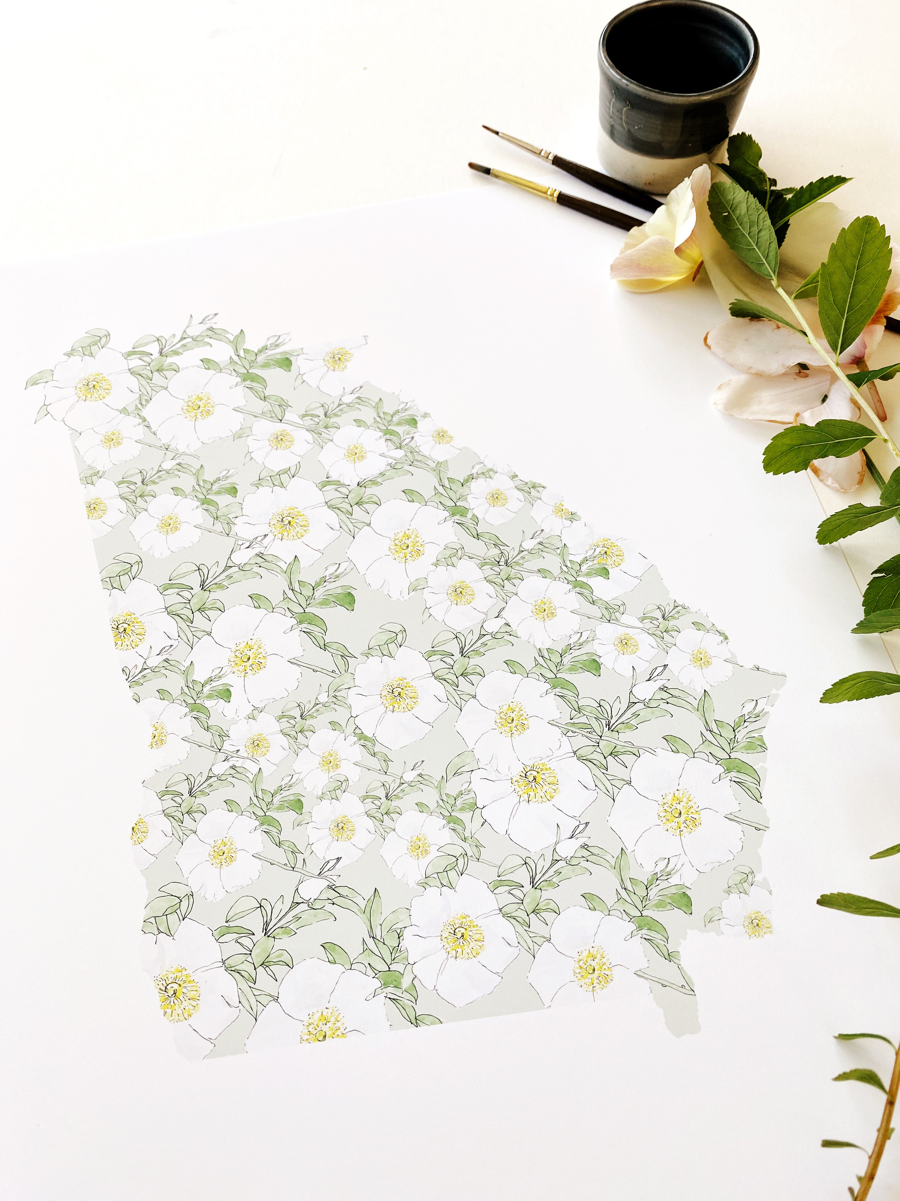 GEORGIA State Flower Map: Cherokee Rose: PRINT