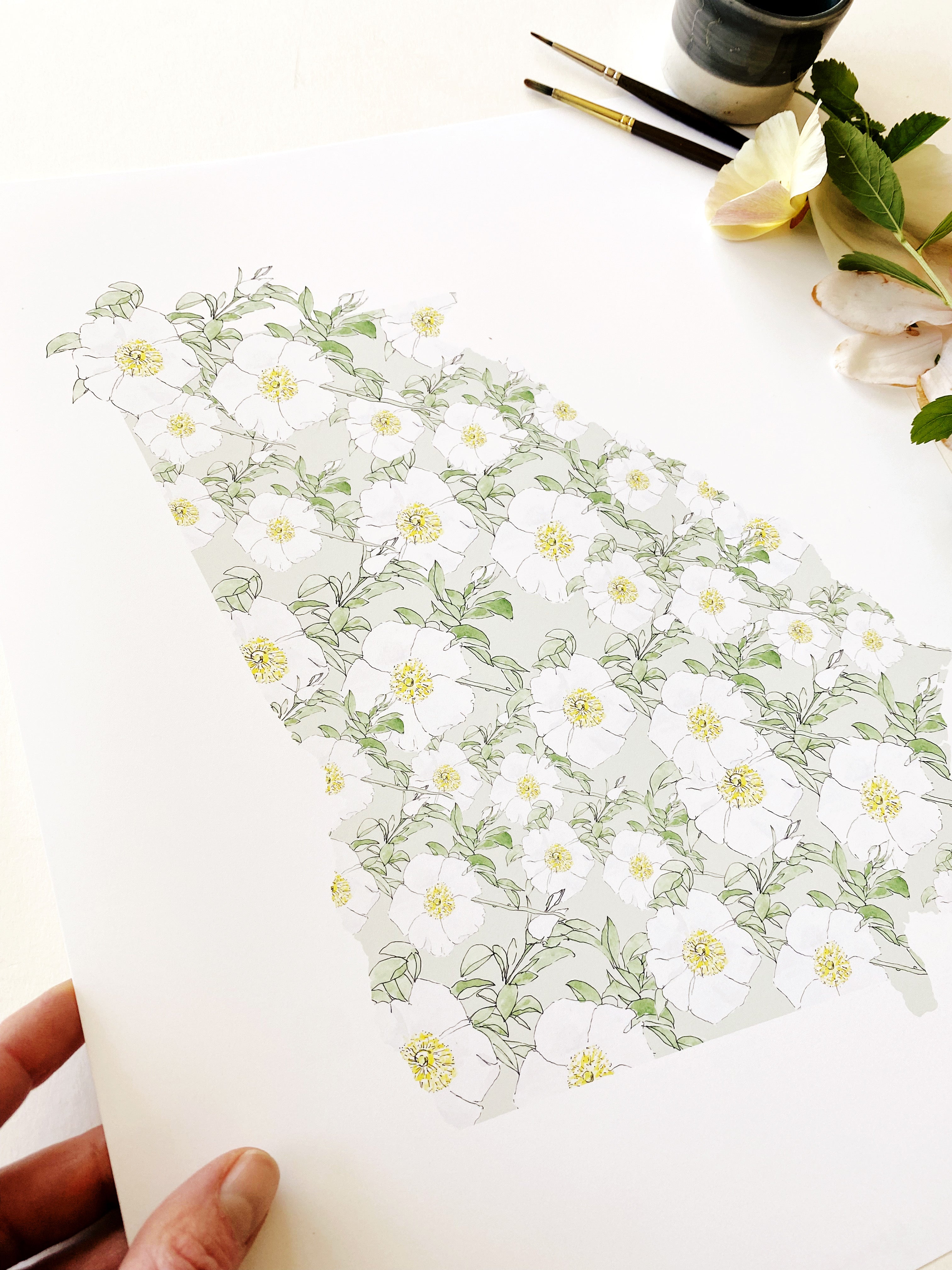 GEORGIA State Flower Map: Cherokee Rose: PRINT