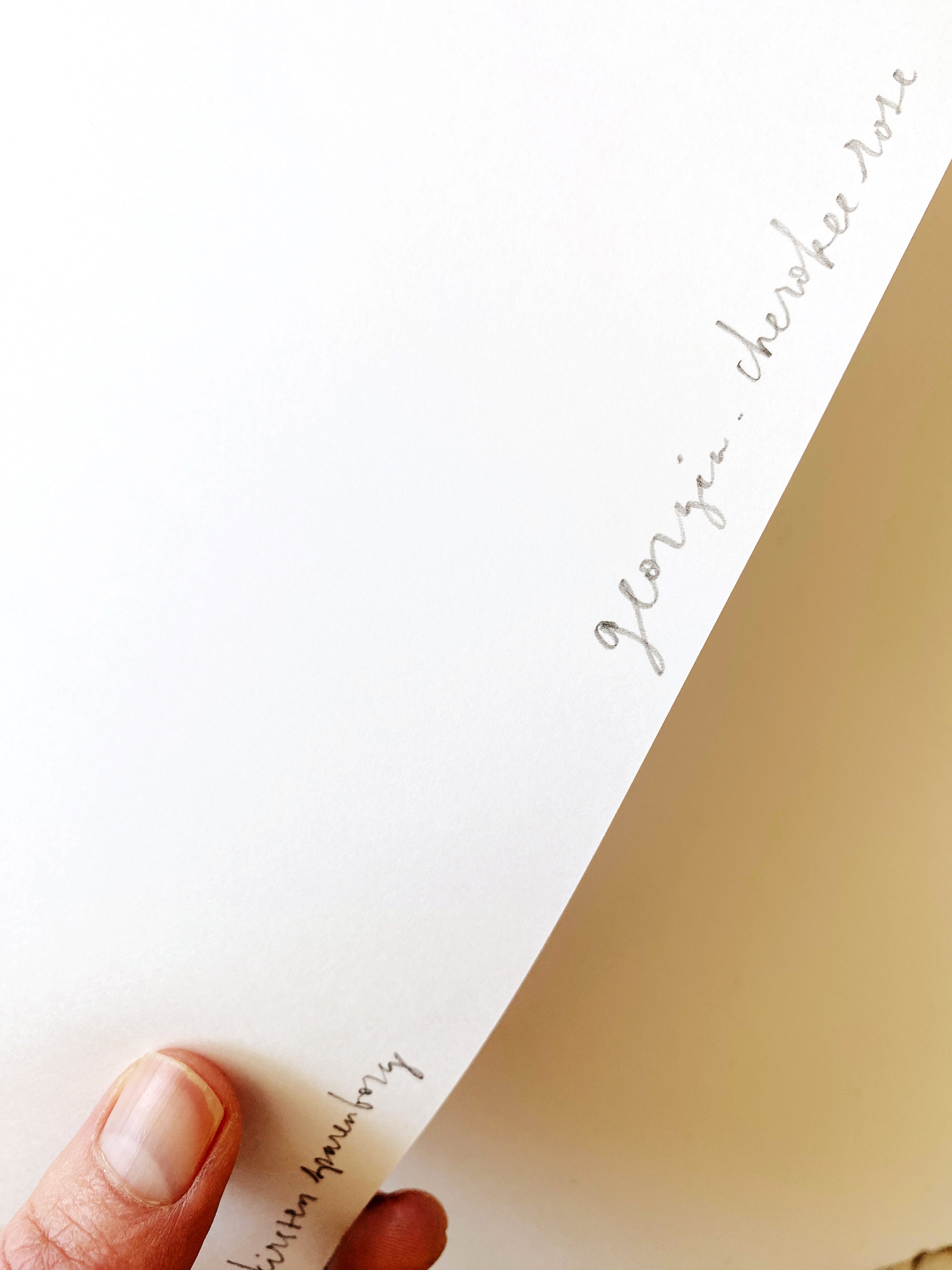 GEORGIA State Flower Map: Cherokee Rose: PRINT