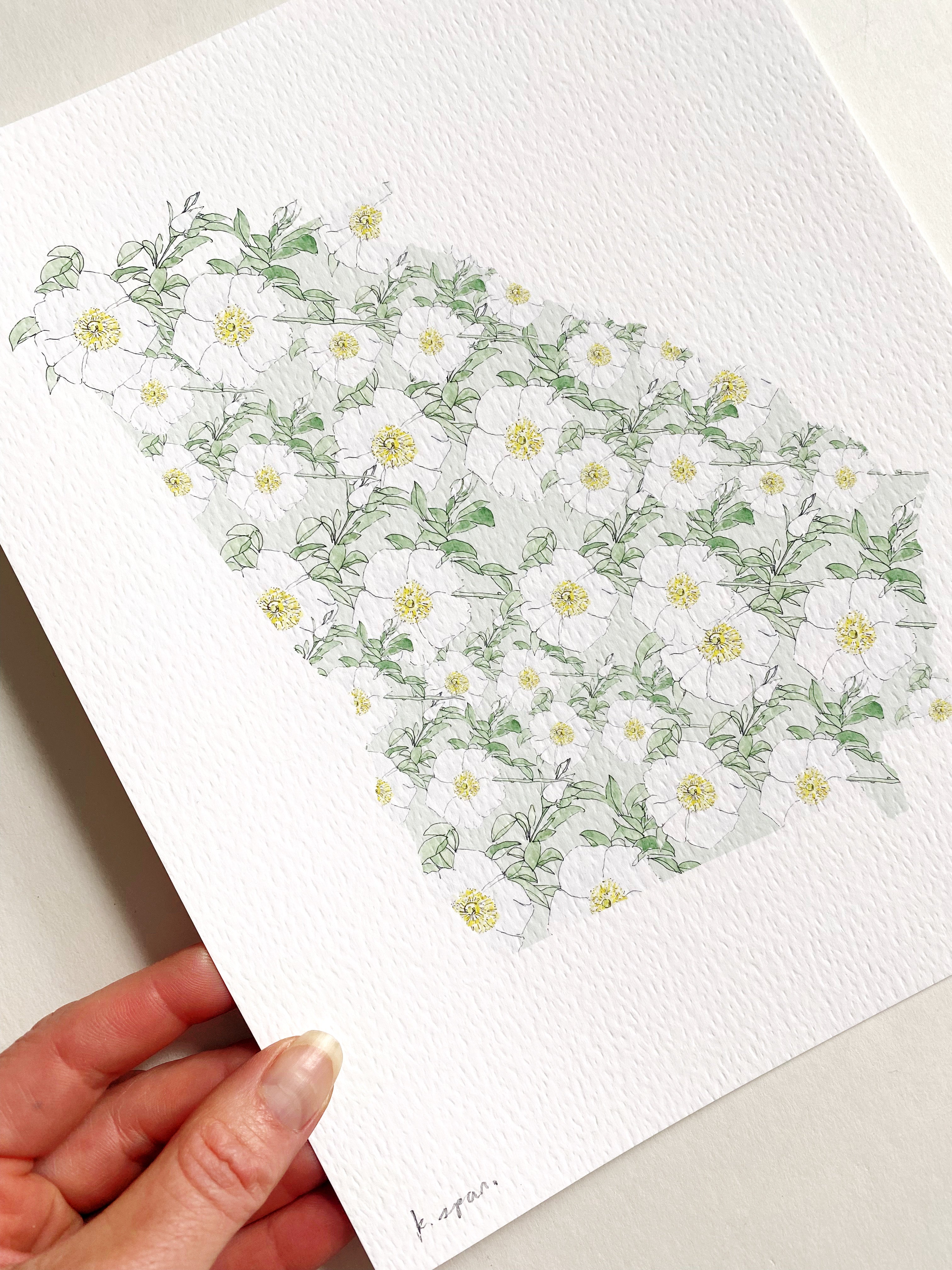 GEORGIA State Flower Map: Cherokee Rose: PRINT