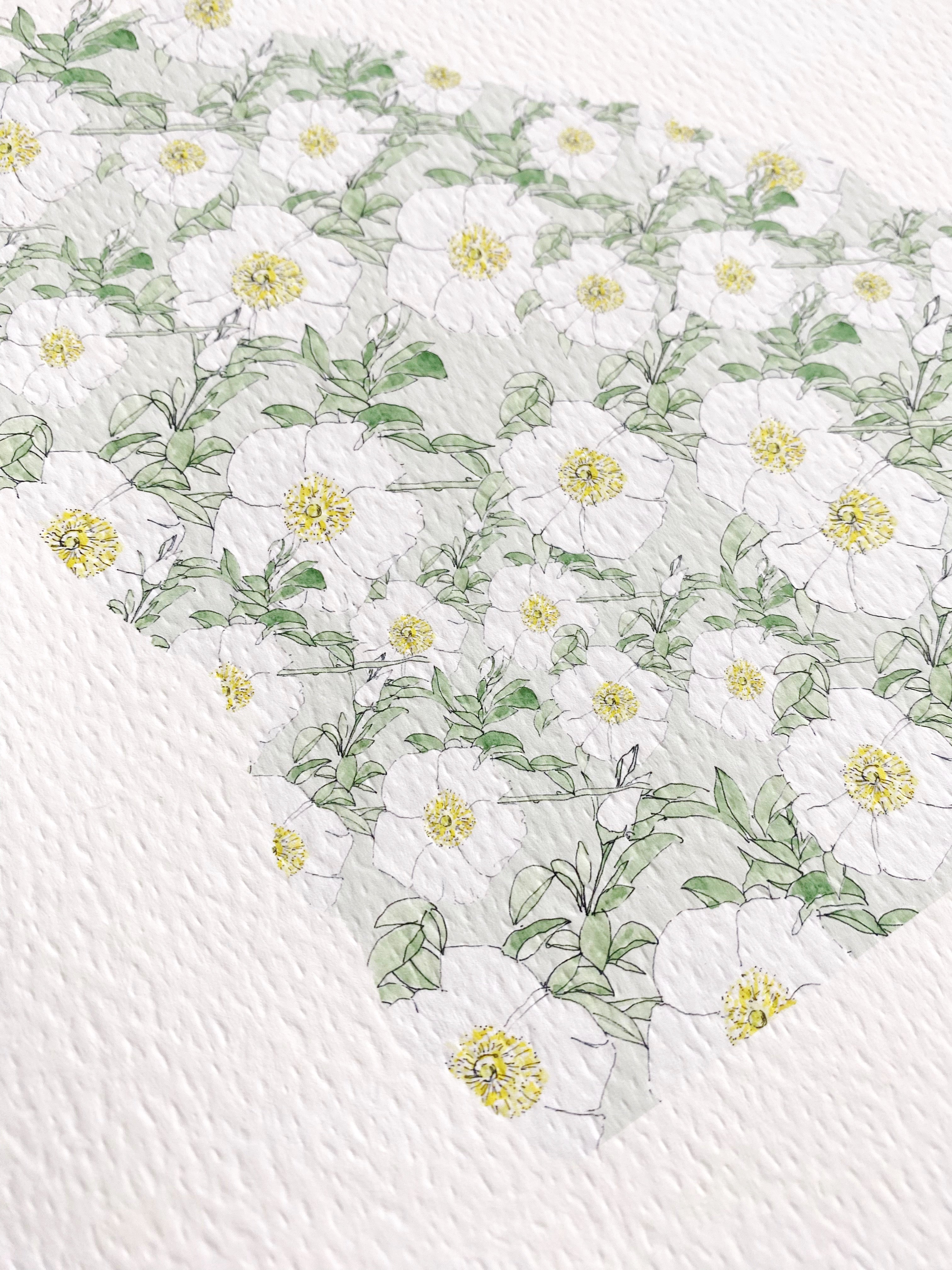 GEORGIA State Flower Map: Cherokee Rose: PRINT