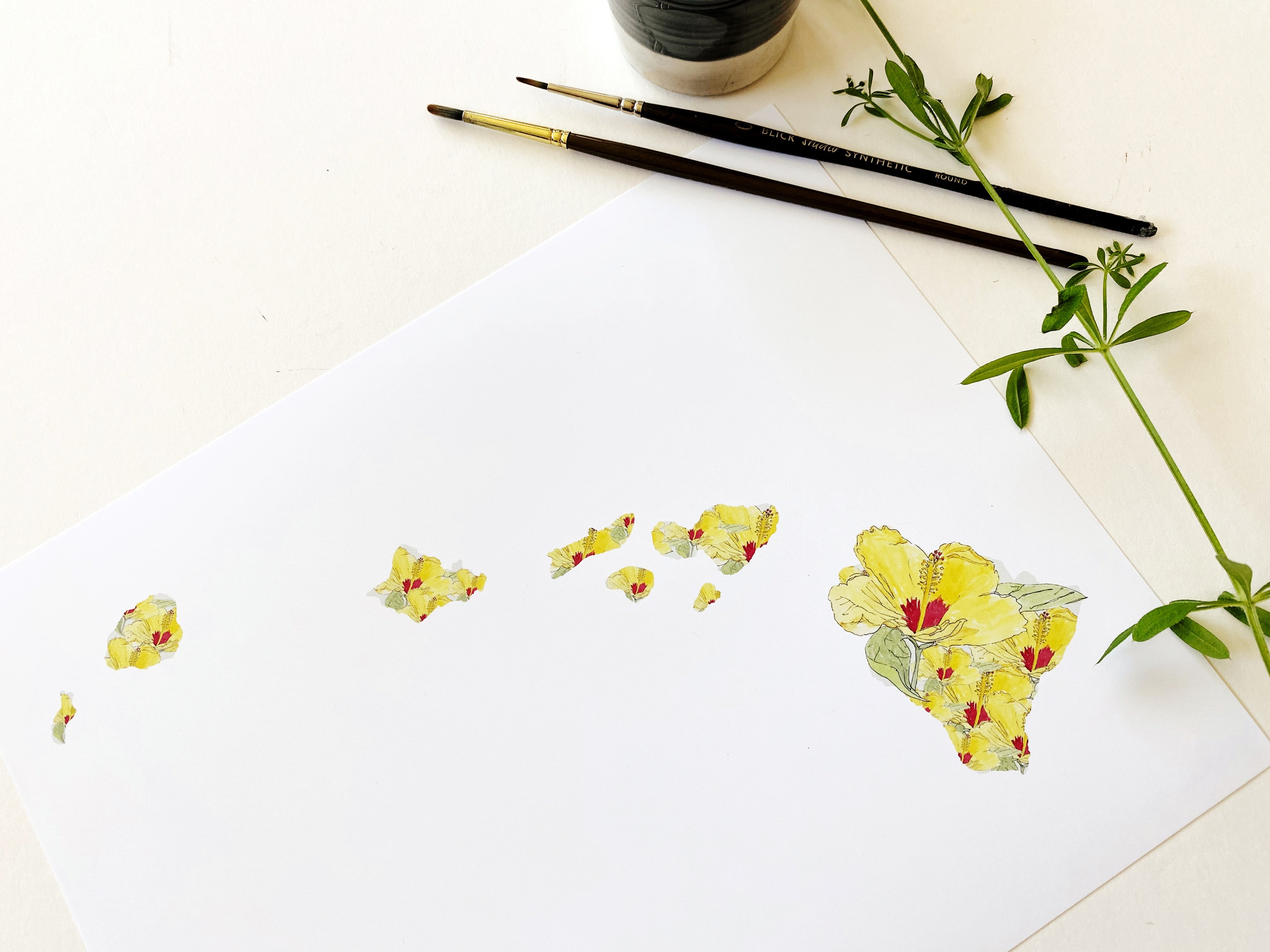 HAWAII State Flower Map: Pua Aloalo: PRINT