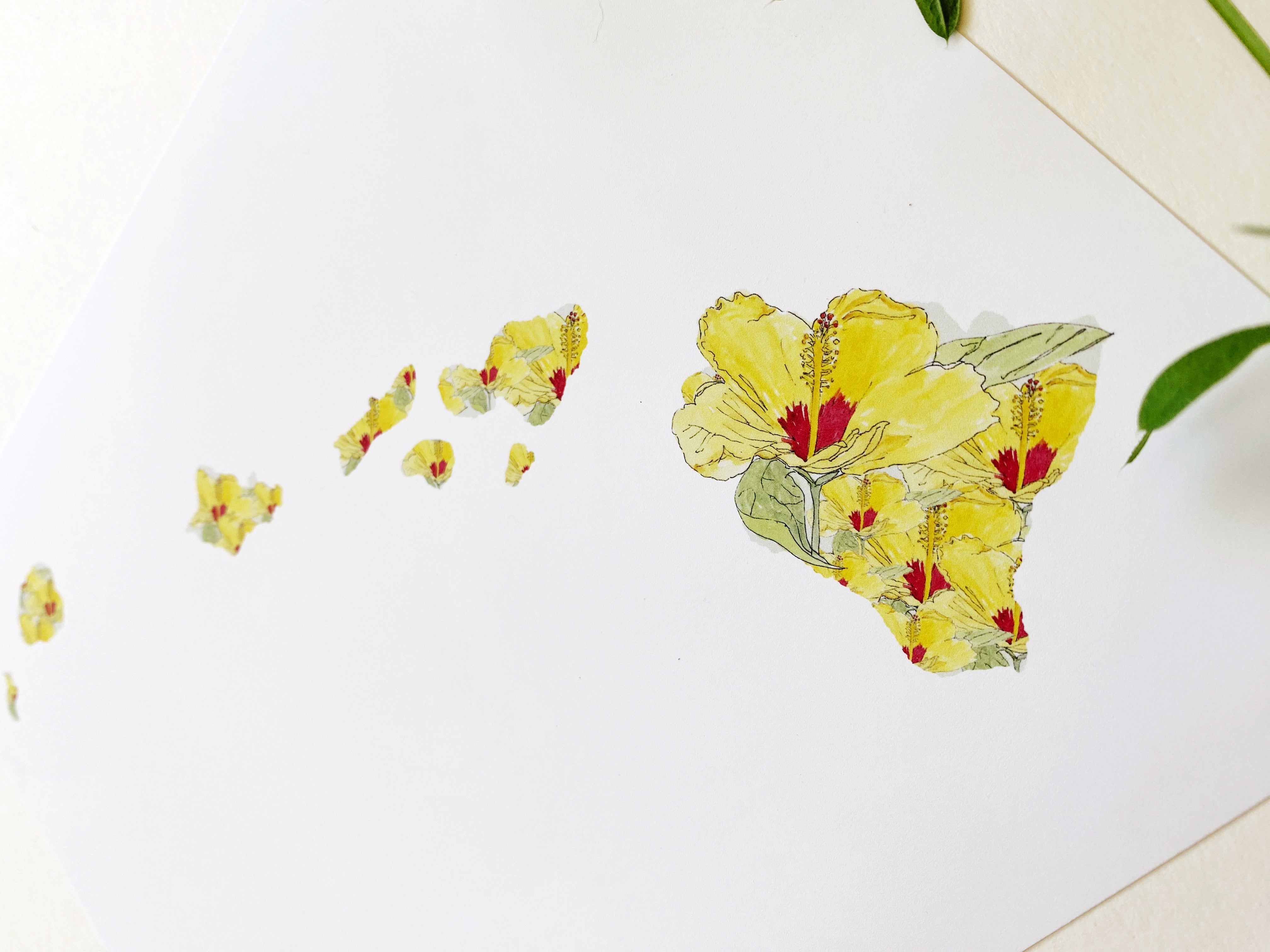 HAWAII State Flower Map: Pua Aloalo: PRINT
