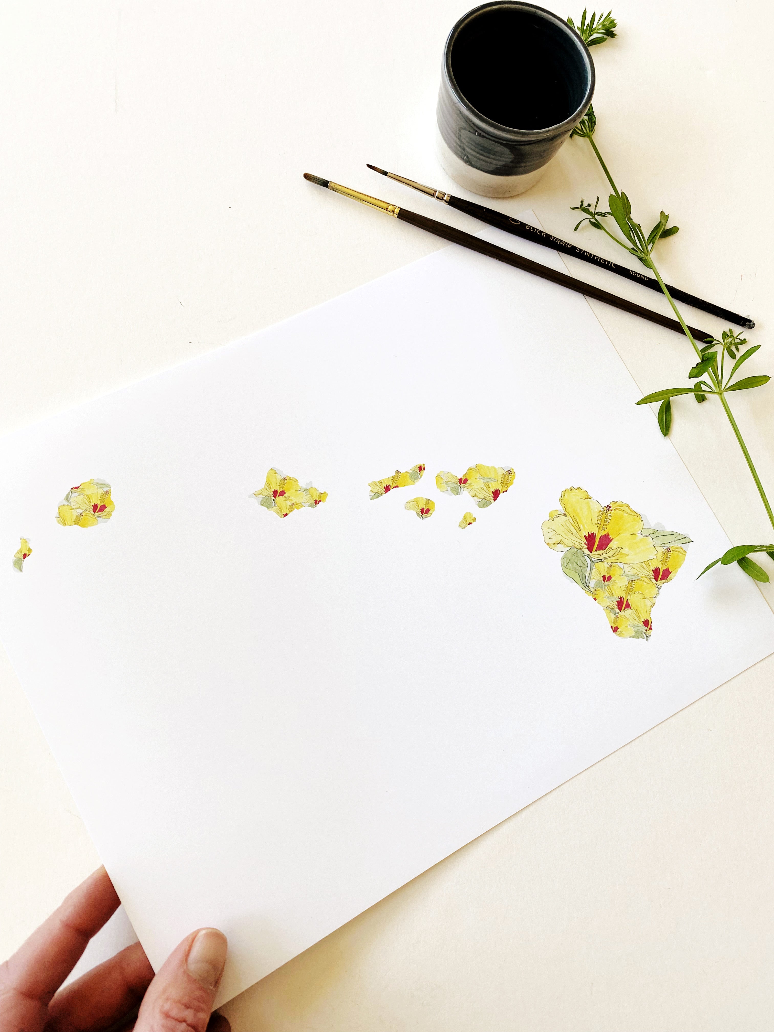 HAWAII State Flower Map: Pua Aloalo: PRINT