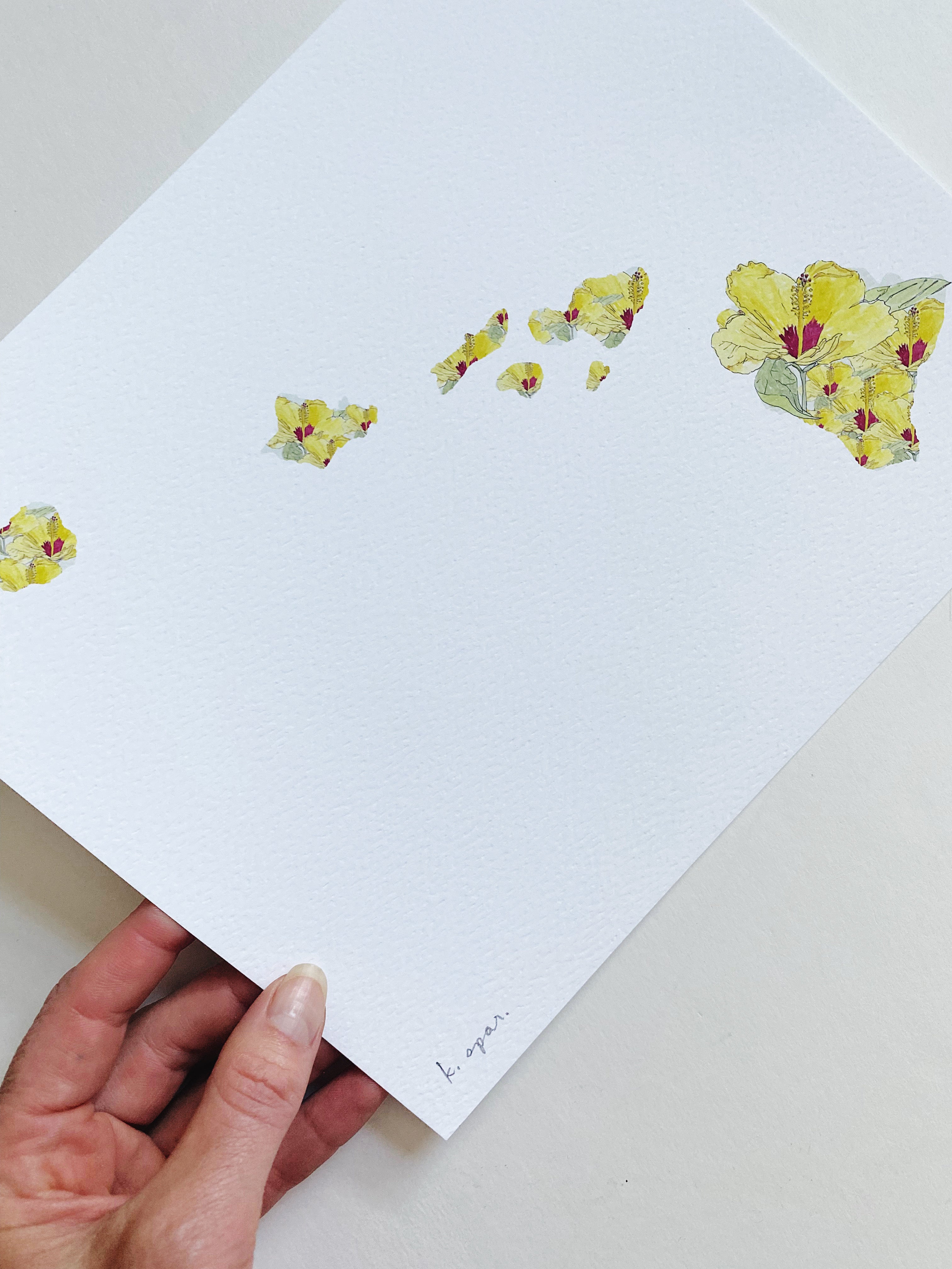 HAWAII State Flower Map: Pua Aloalo: PRINT