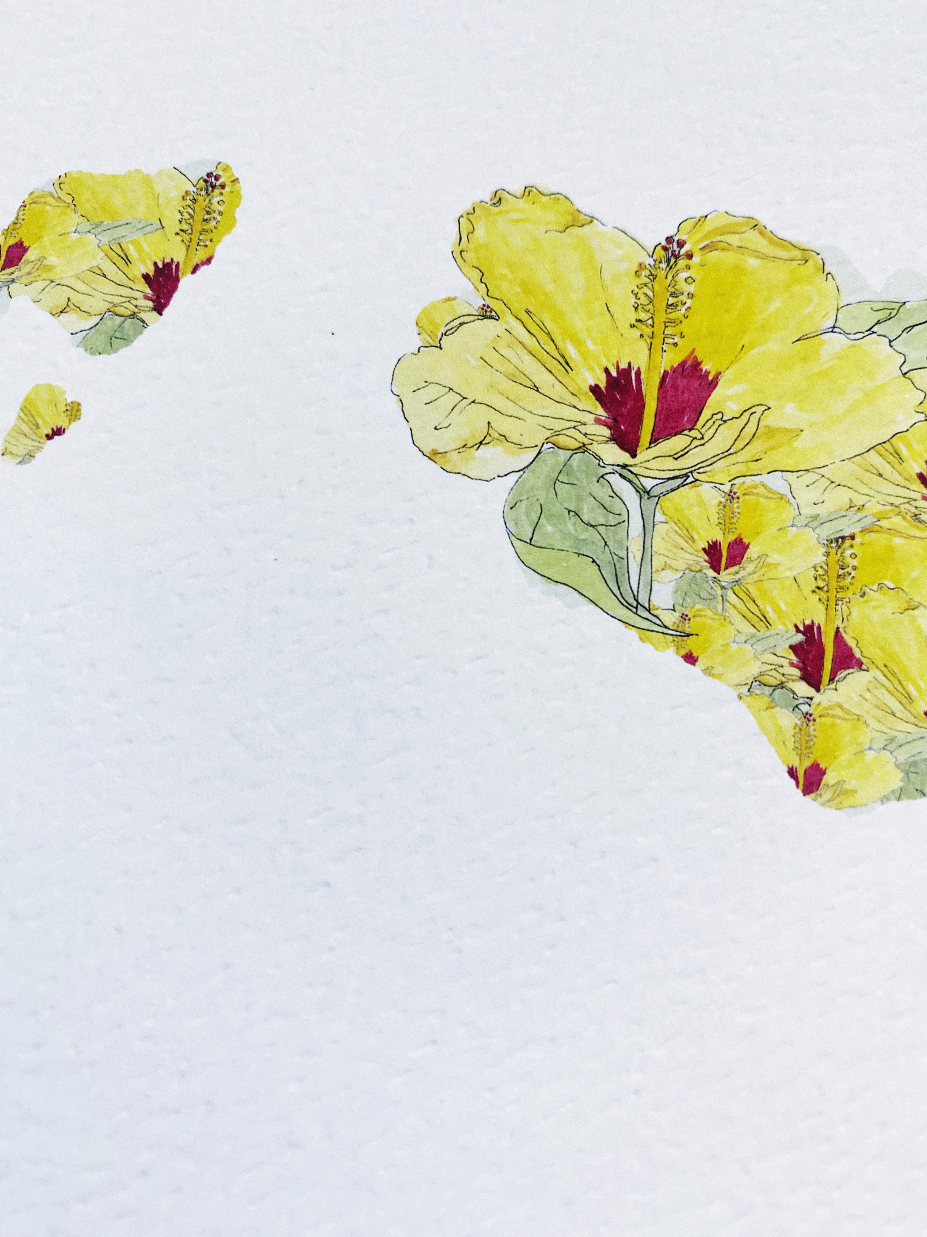 HAWAII State Flower Map: Pua Aloalo: PRINT