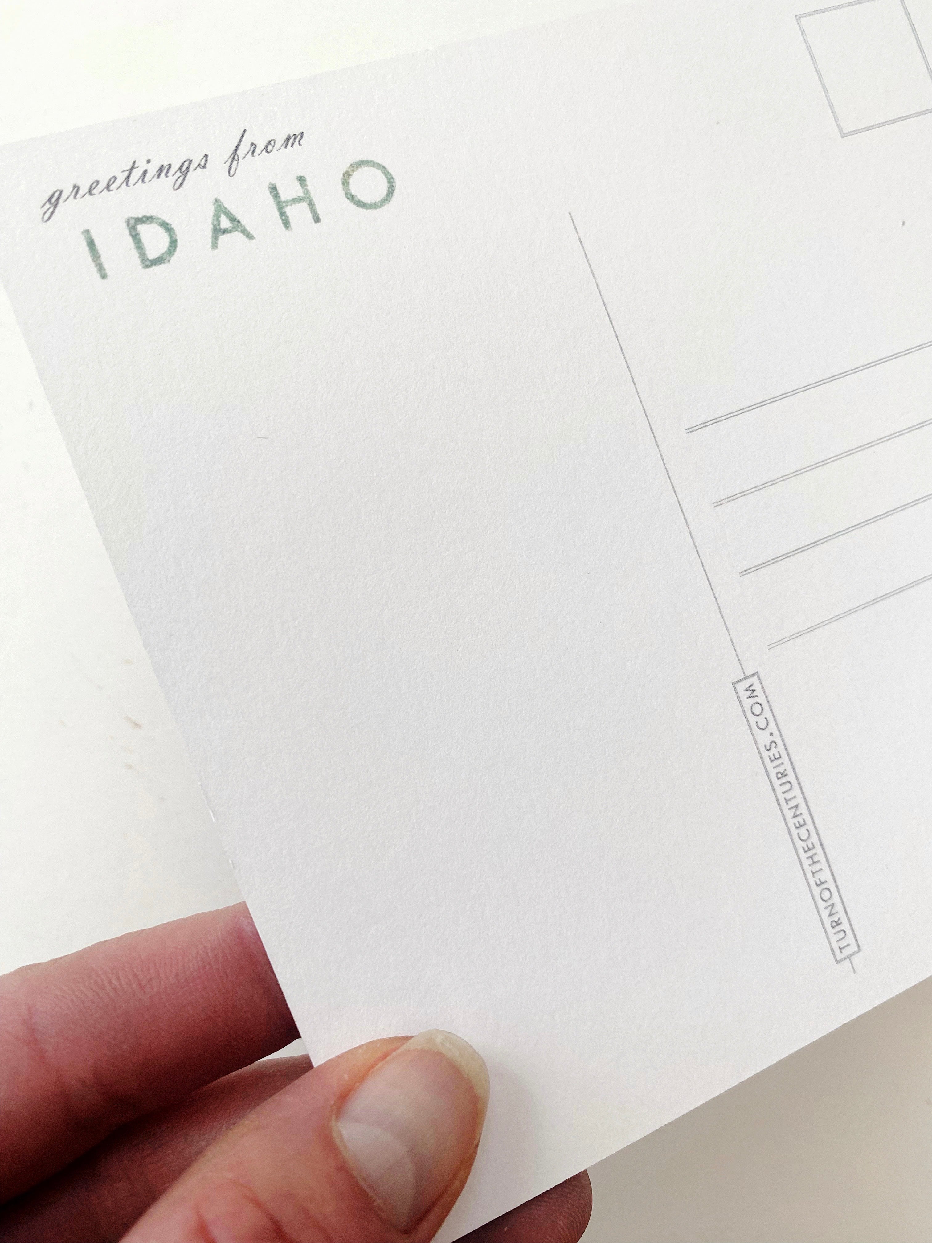 IDAHO Painted State Map SQUARE Postcard (grass)