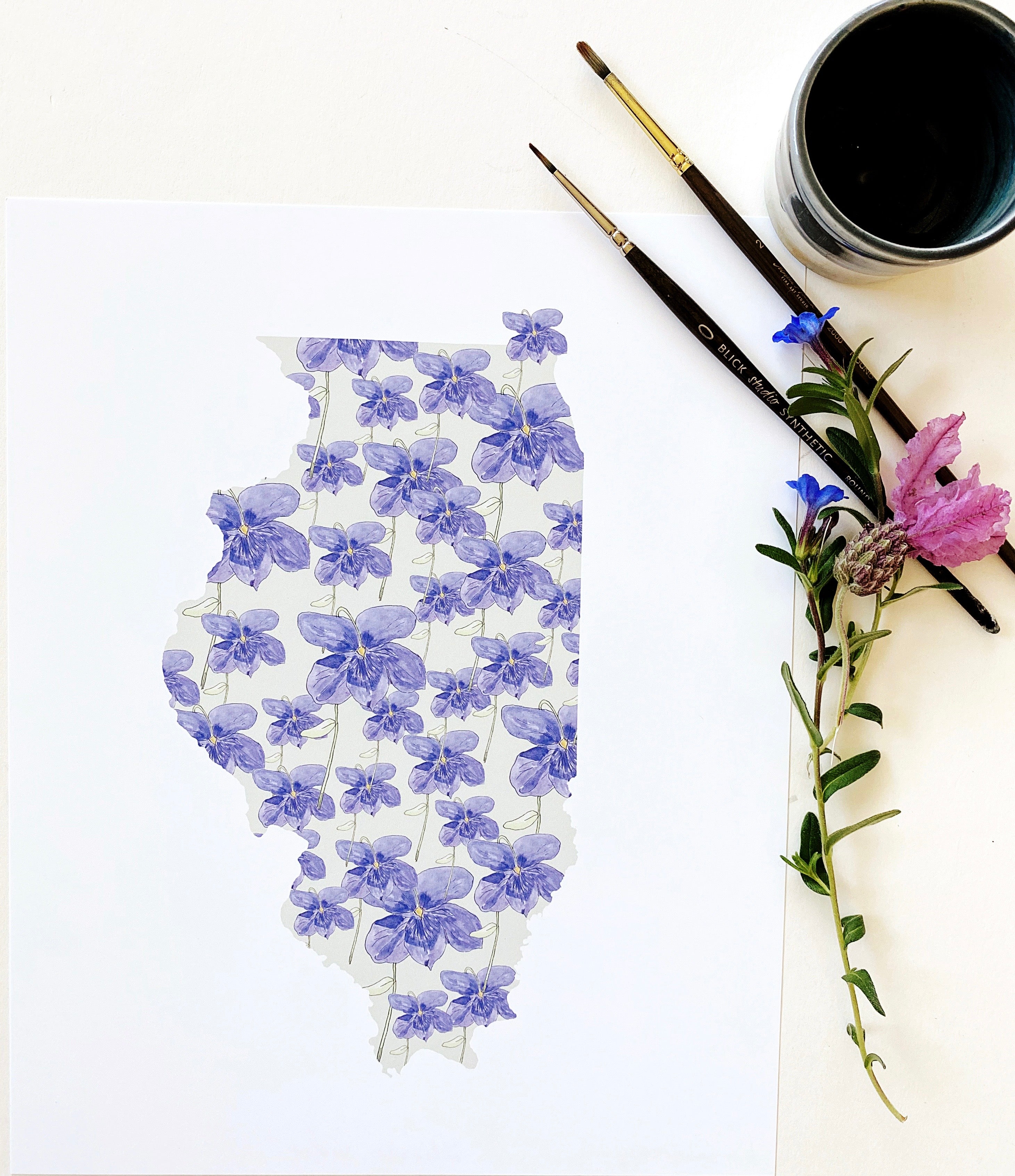 ILLINOIS State Flower Map: Native Violet: PRINT