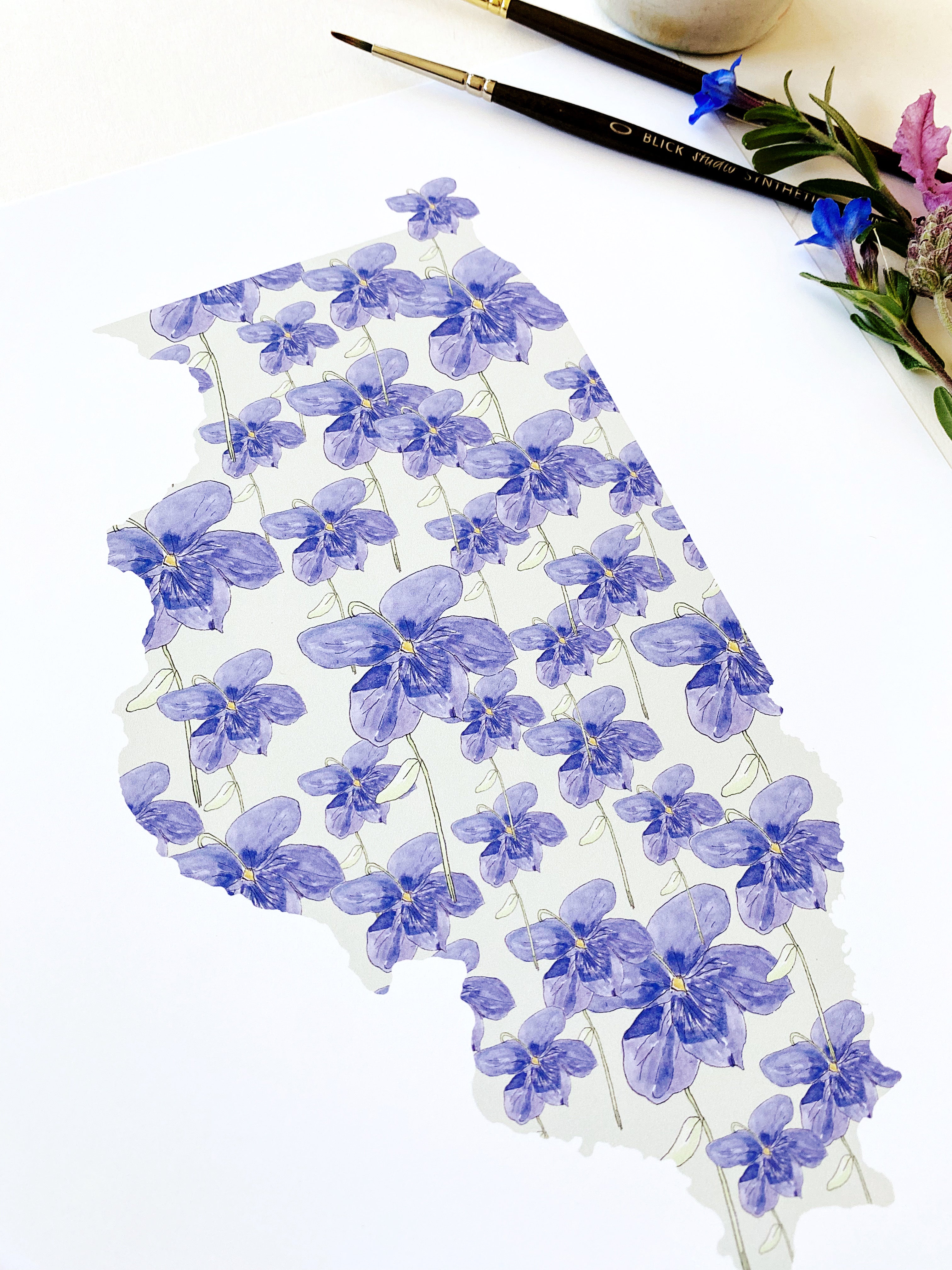 ILLINOIS State Flower Map: Native Violet: PRINT