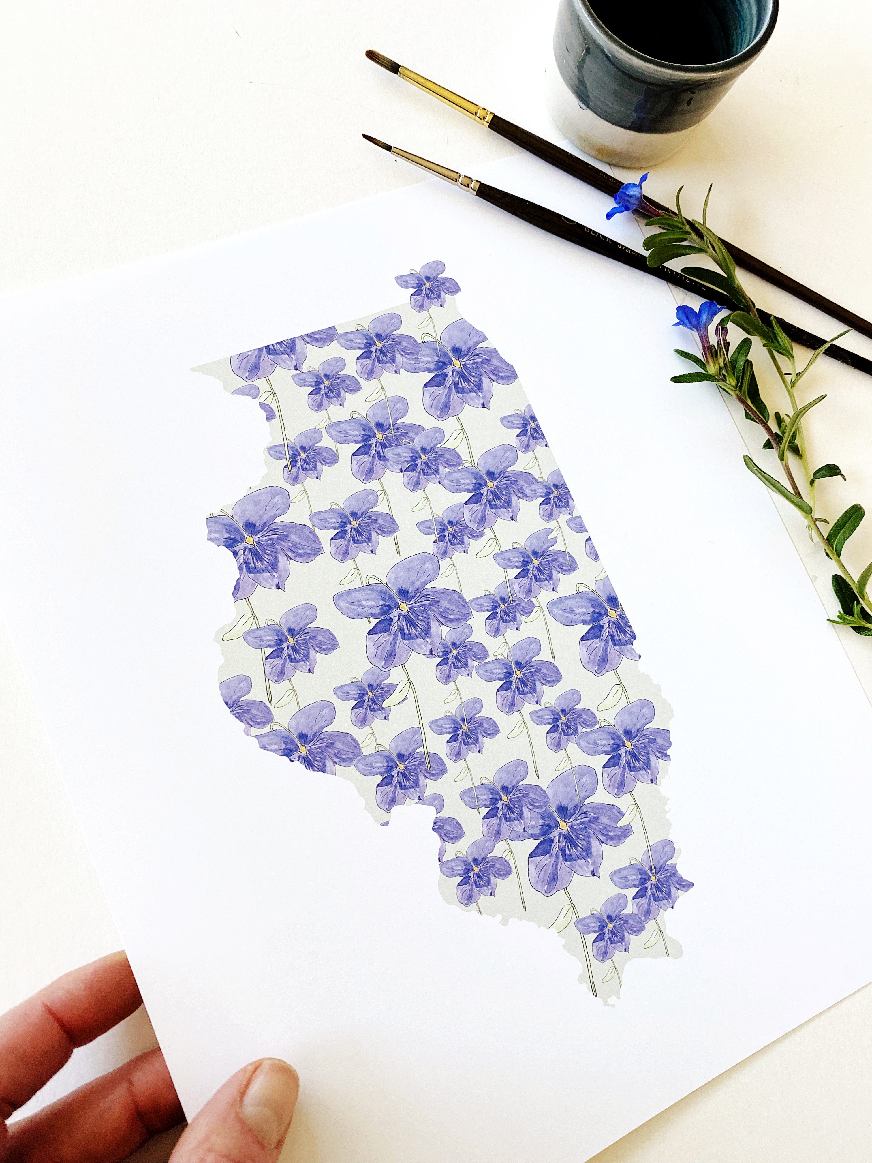 ILLINOIS State Flower Map: Native Violet: PRINT
