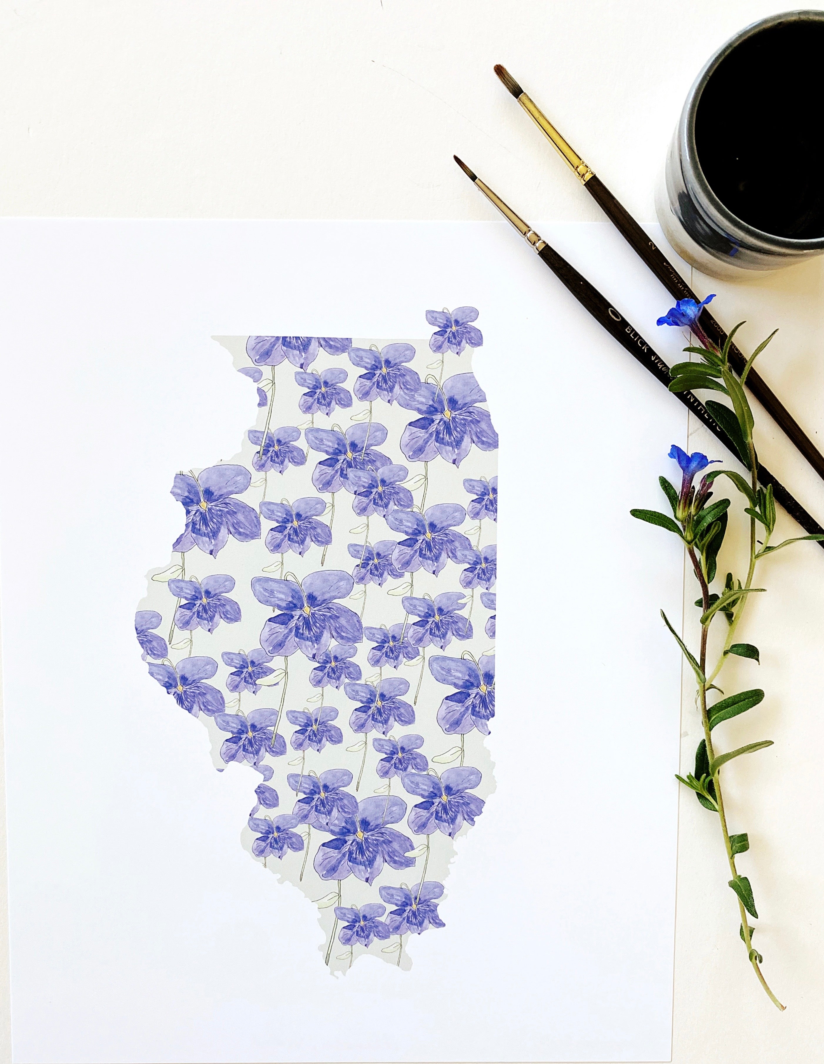 ILLINOIS State Flower Map: Native Violet: PRINT