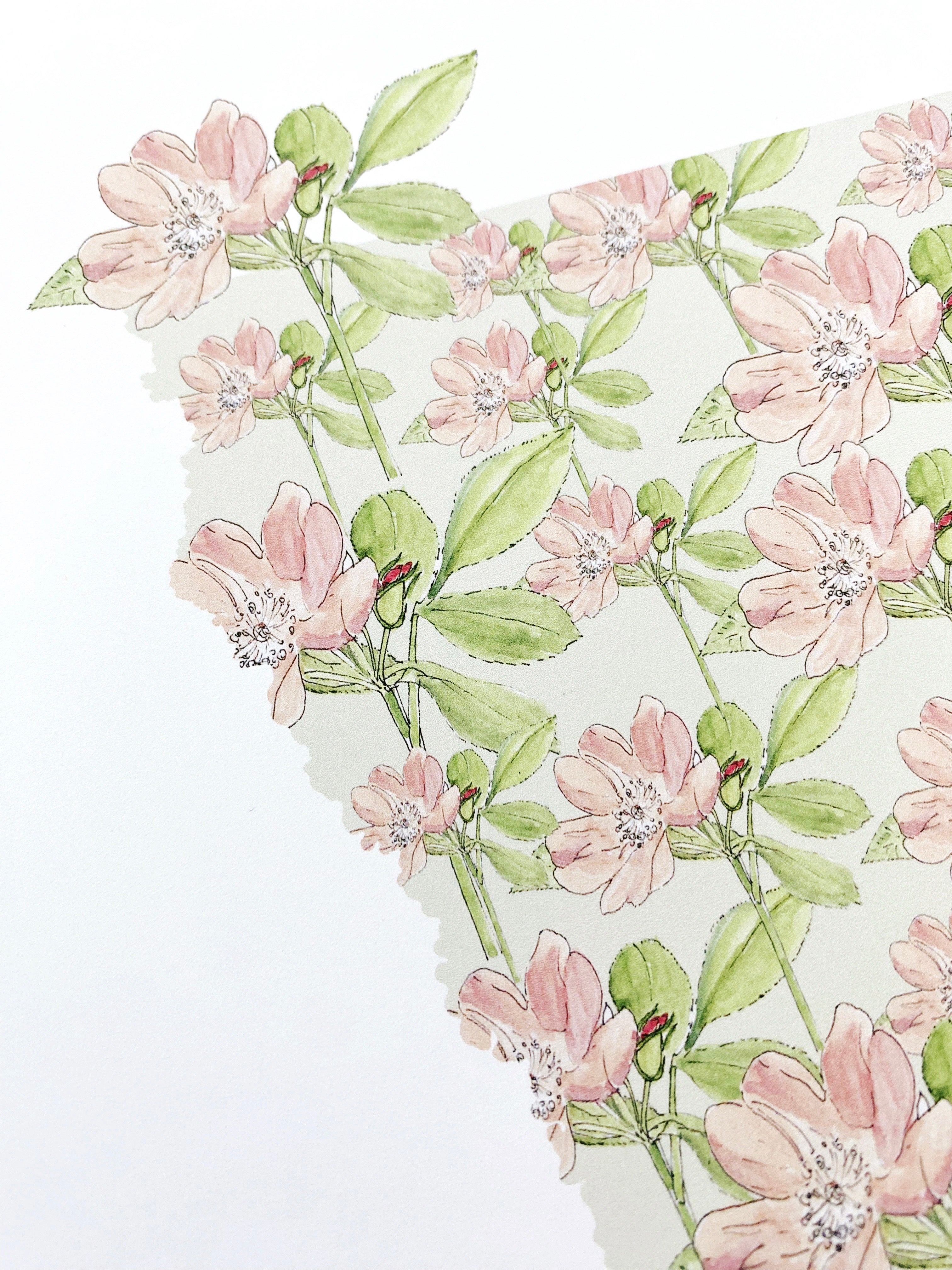 IOWA State Flower Map: Wild Prairie Rose: PRINT