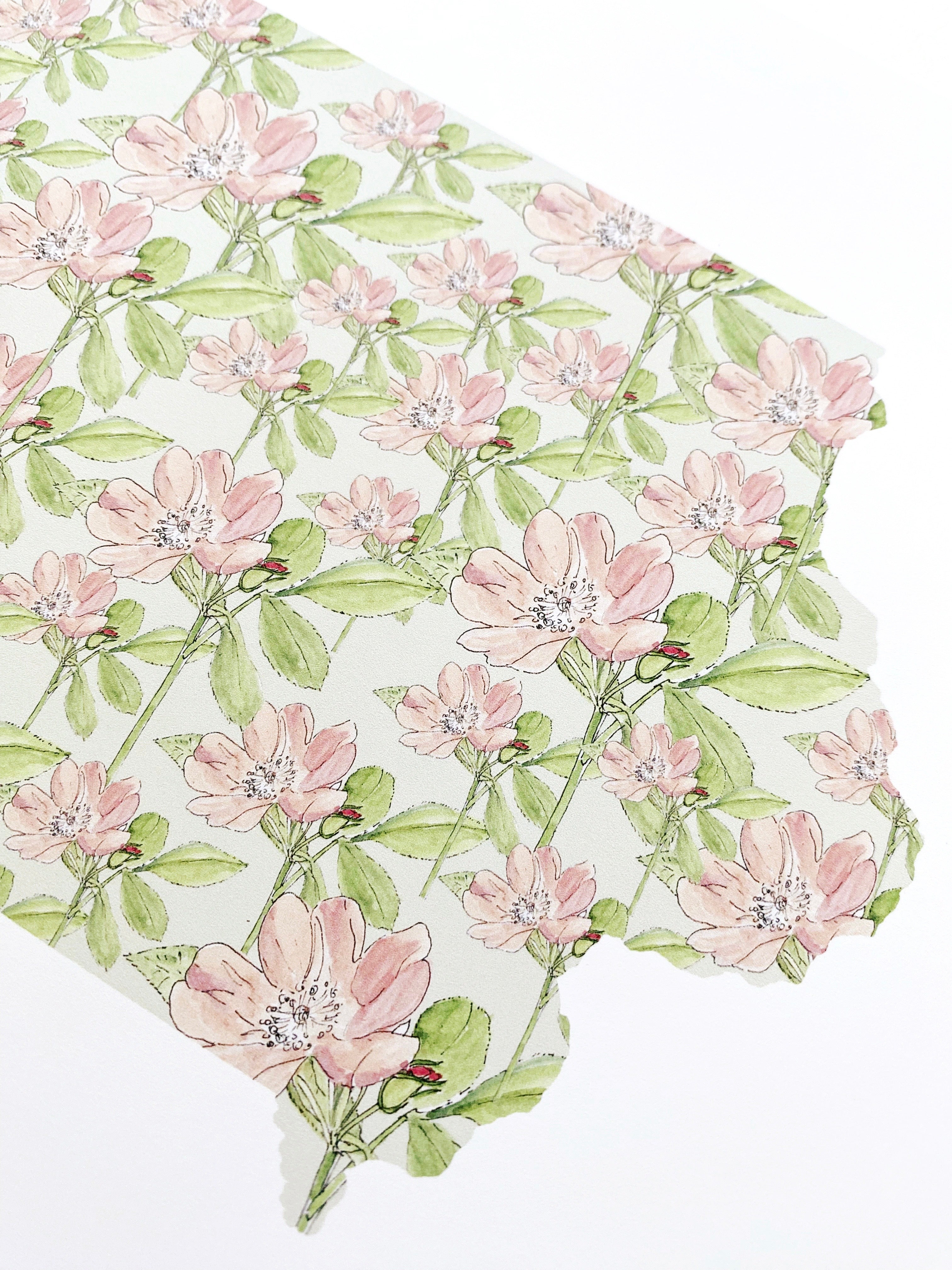 IOWA State Flower Map: Wild Prairie Rose: PRINT